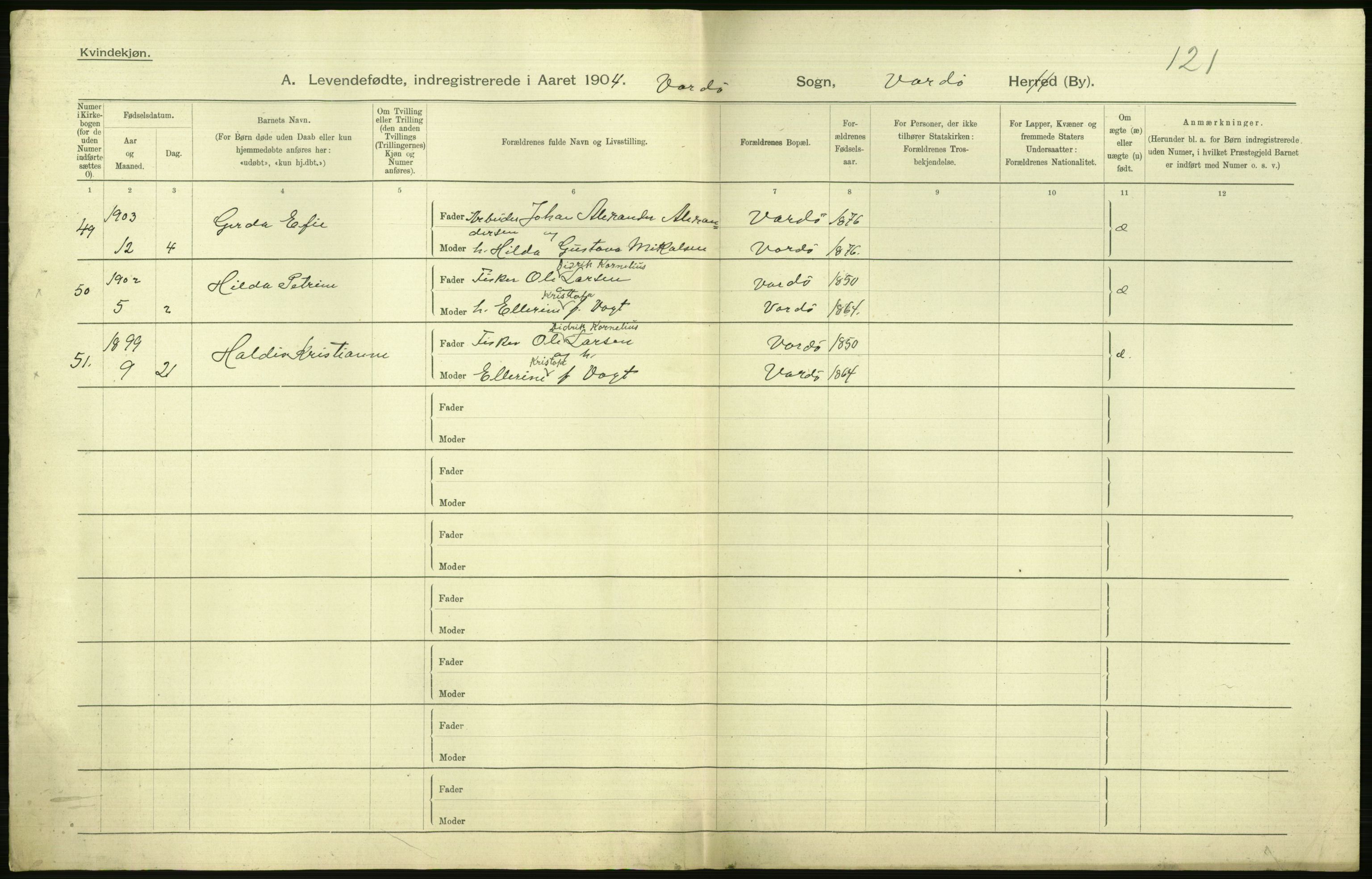 Statistisk sentralbyrå, Sosiodemografiske emner, Befolkning, AV/RA-S-2228/D/Df/Dfa/Dfab/L0023: Finnmarkens amt: Fødte, gifte, døde, 1904, p. 156