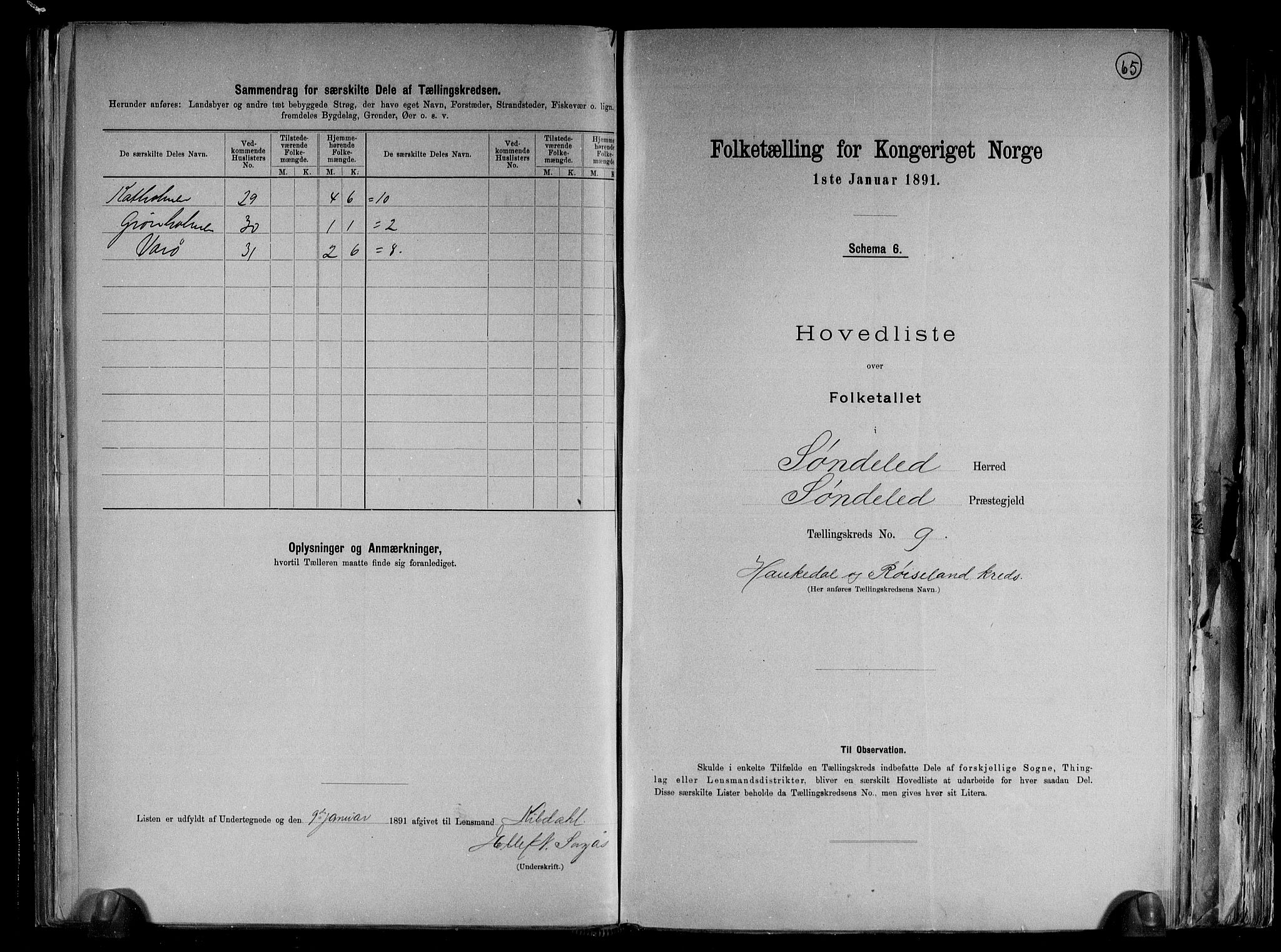 RA, 1891 census for 0913 Søndeled, 1891, p. 21