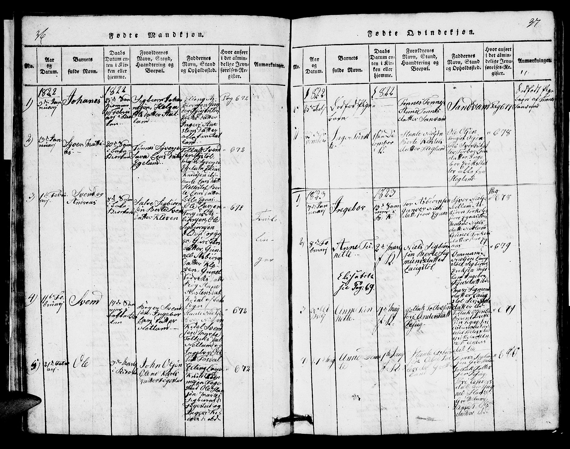 Bakke sokneprestkontor, SAK/1111-0002/F/Fb/Fbb/L0001: Parish register (copy) no. B 1, 1815-1835, p. 36-37