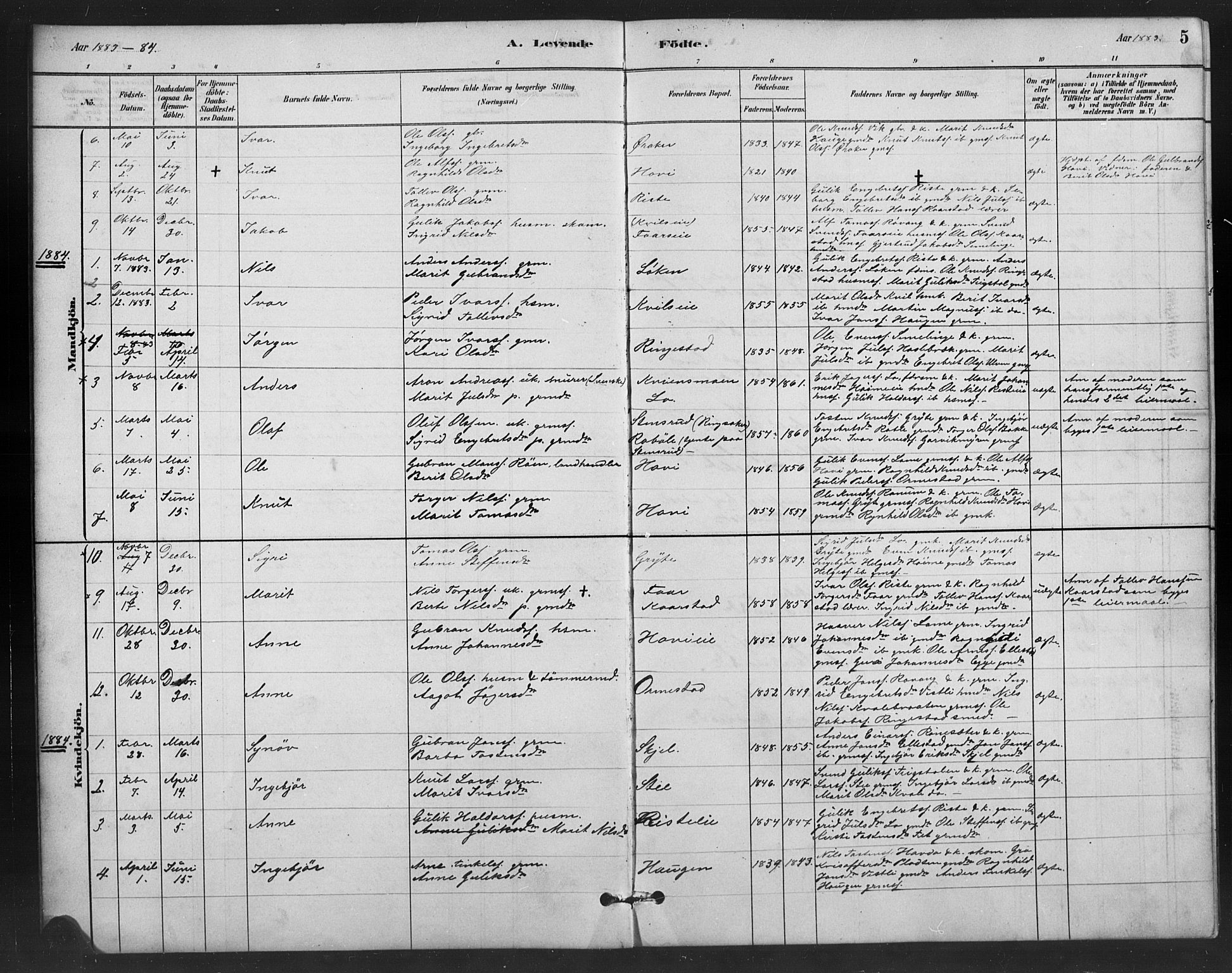 Vestre Slidre prestekontor, SAH/PREST-136/H/Ha/Hab/L0006: Parish register (copy) no. 6, 1881-1915, p. 5