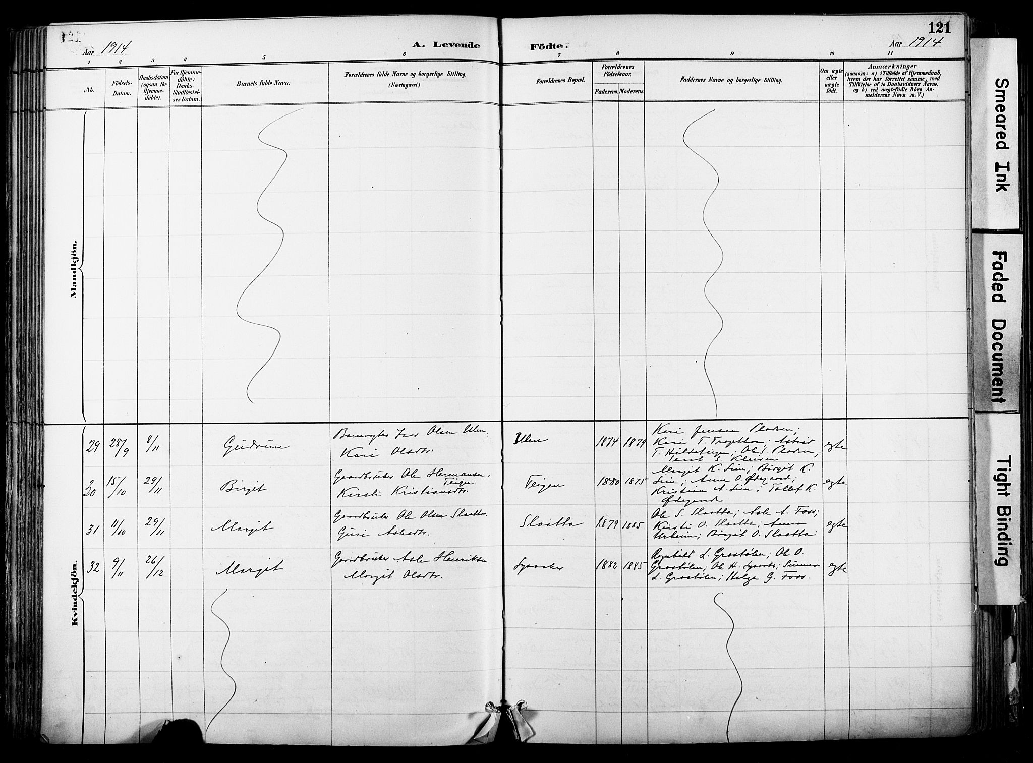 Hol kirkebøker, AV/SAKO-A-227/F/Fa/L0003: Parish register (official) no. I 3, 1887-1918, p. 121