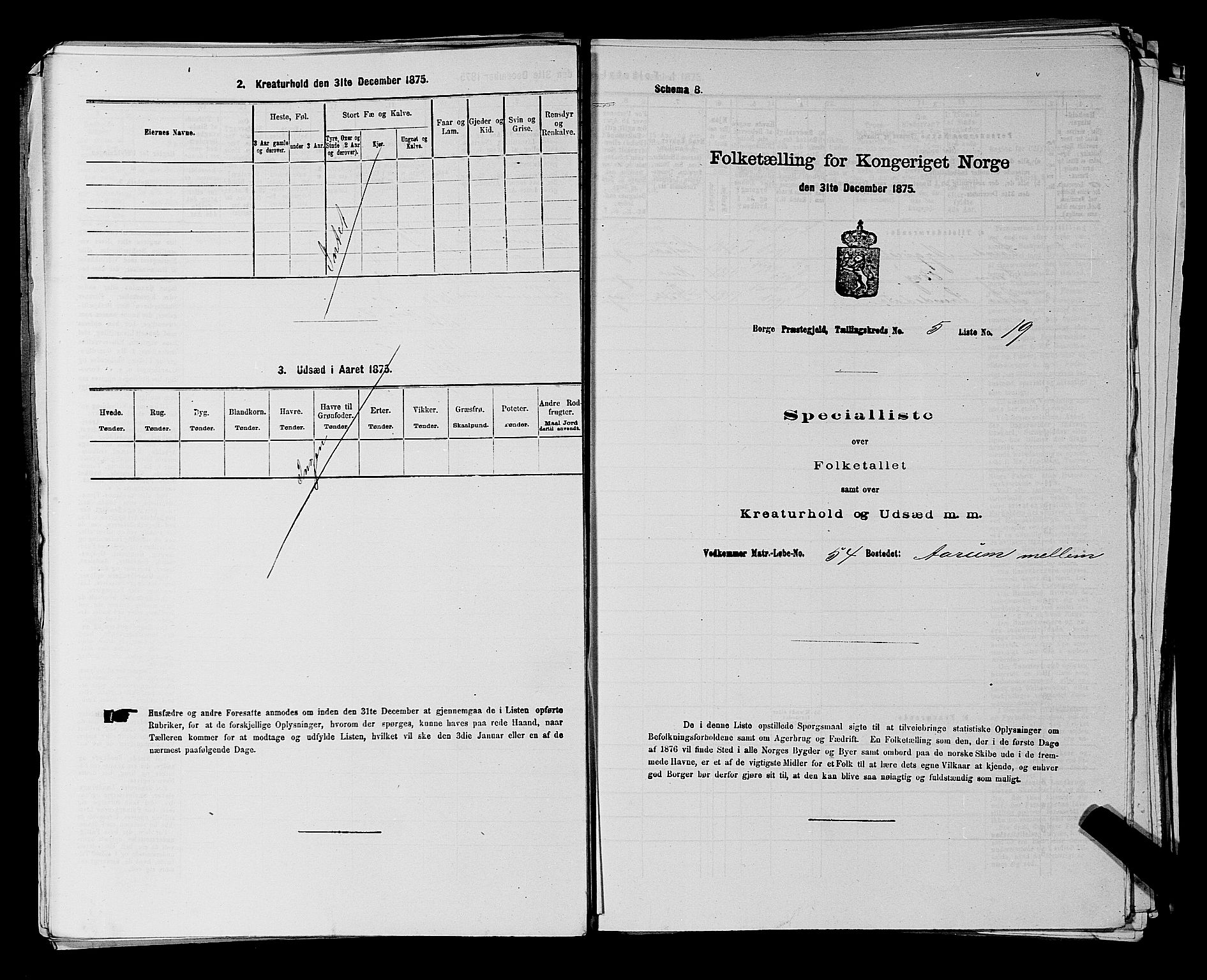 RA, 1875 census for 0113P Borge, 1875, p. 815