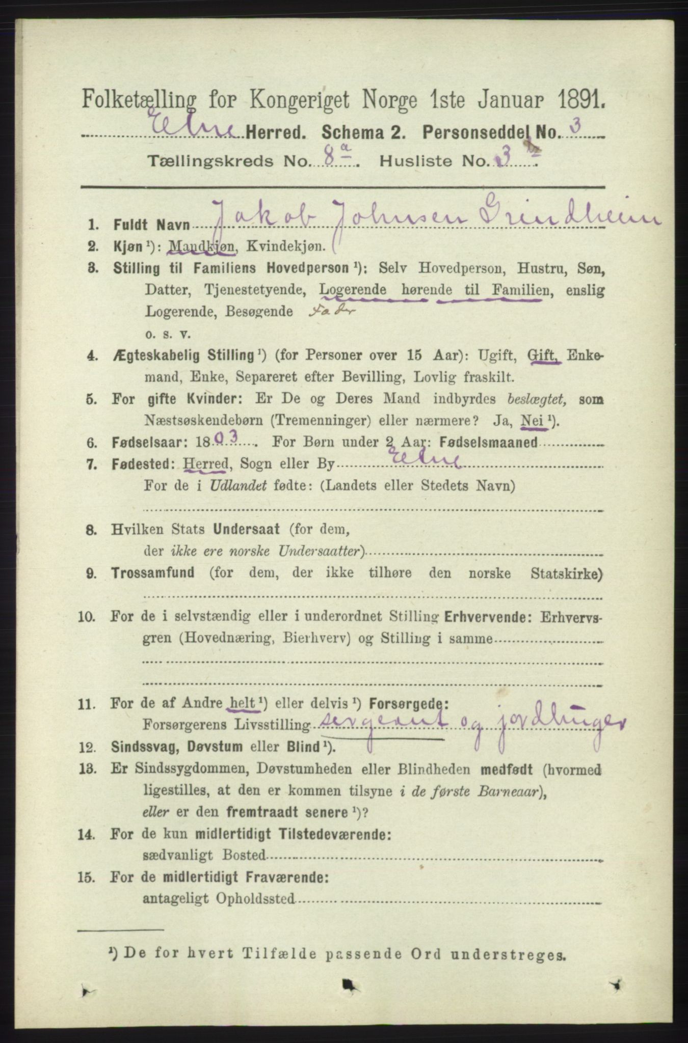 RA, 1891 census for 1211 Etne, 1891, p. 1551