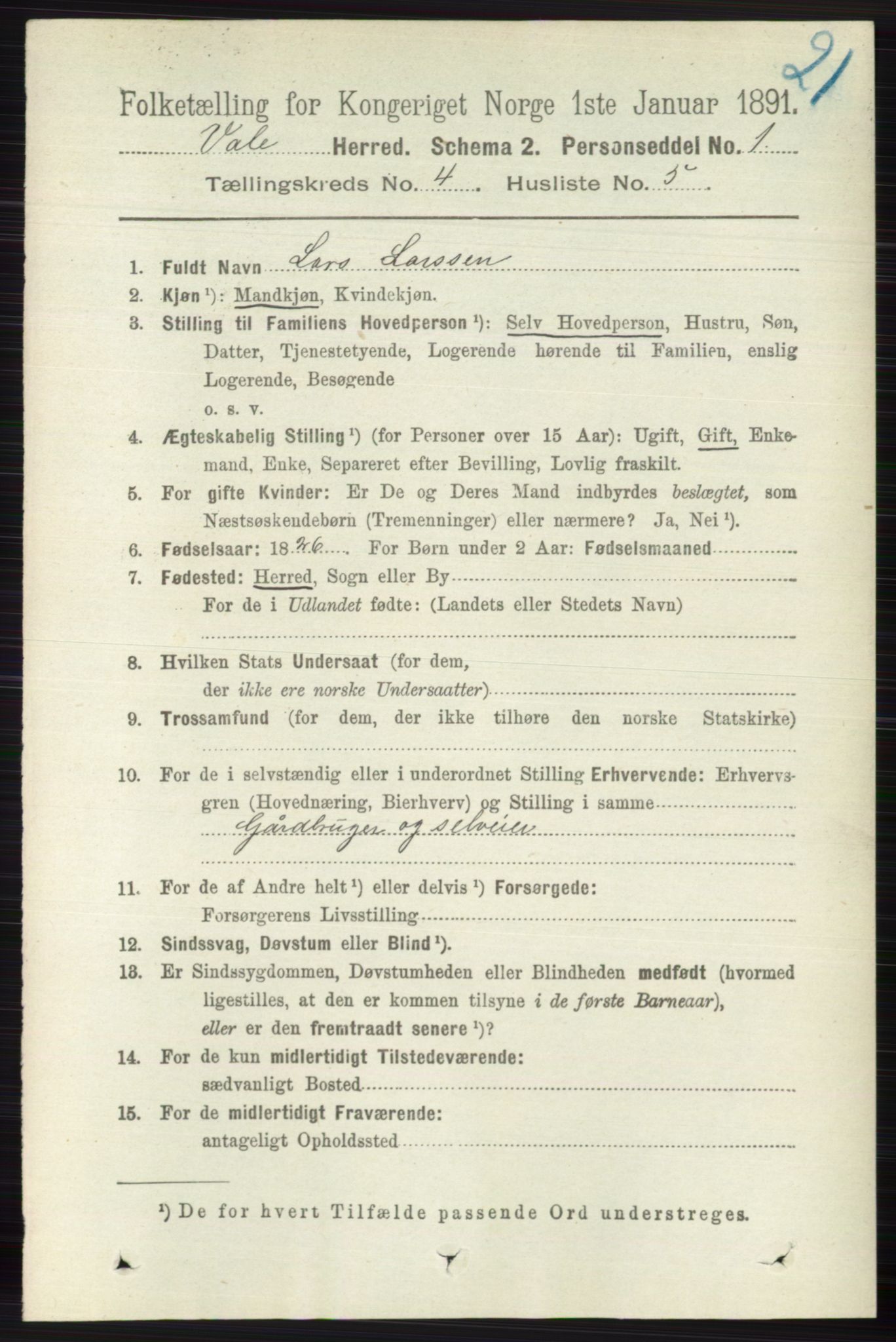 RA, 1891 census for 0716 Våle, 1891, p. 1009