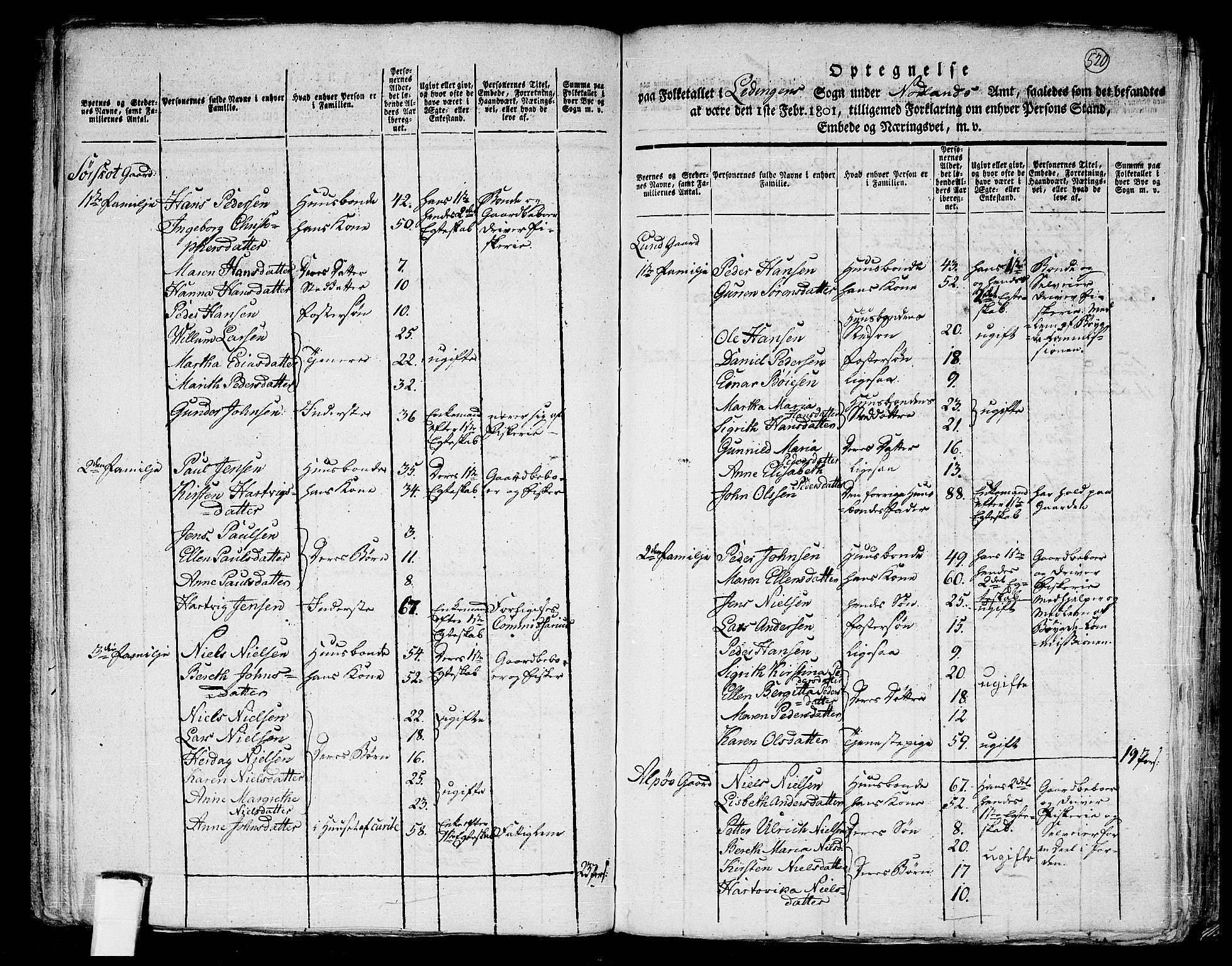 RA, 1801 census for 1848P Steigen, 1801, p. 519b-520a