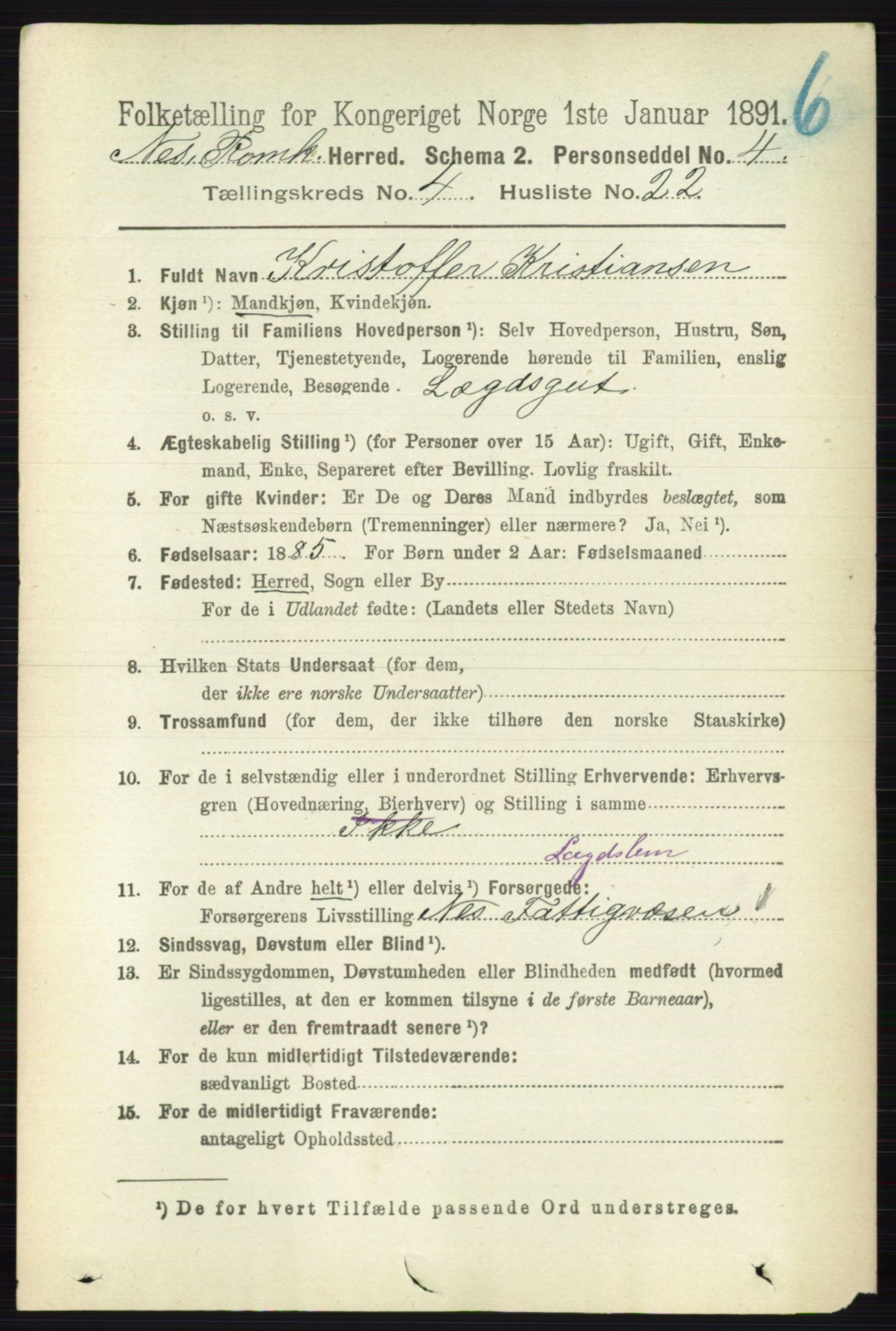 RA, 1891 census for 0236 Nes, 1891, p. 2383
