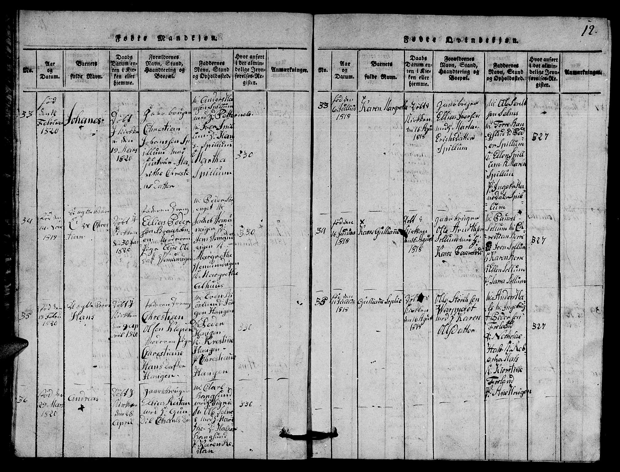 Ministerialprotokoller, klokkerbøker og fødselsregistre - Nord-Trøndelag, SAT/A-1458/770/L0590: Parish register (copy) no. 770C01, 1815-1824, p. 12