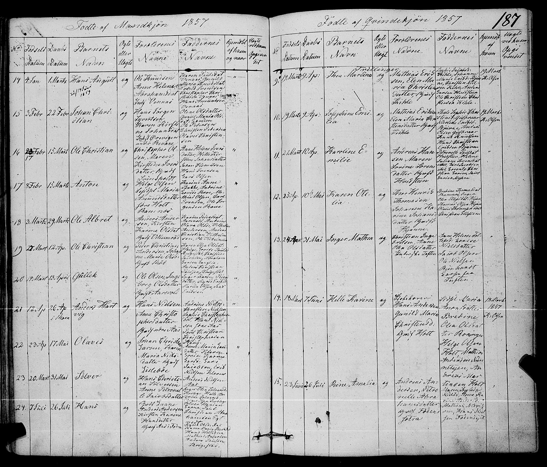 Ramnes kirkebøker, SAKO/A-314/F/Fa/L0005: Parish register (official) no. I 5, 1841-1861, p. 186-187