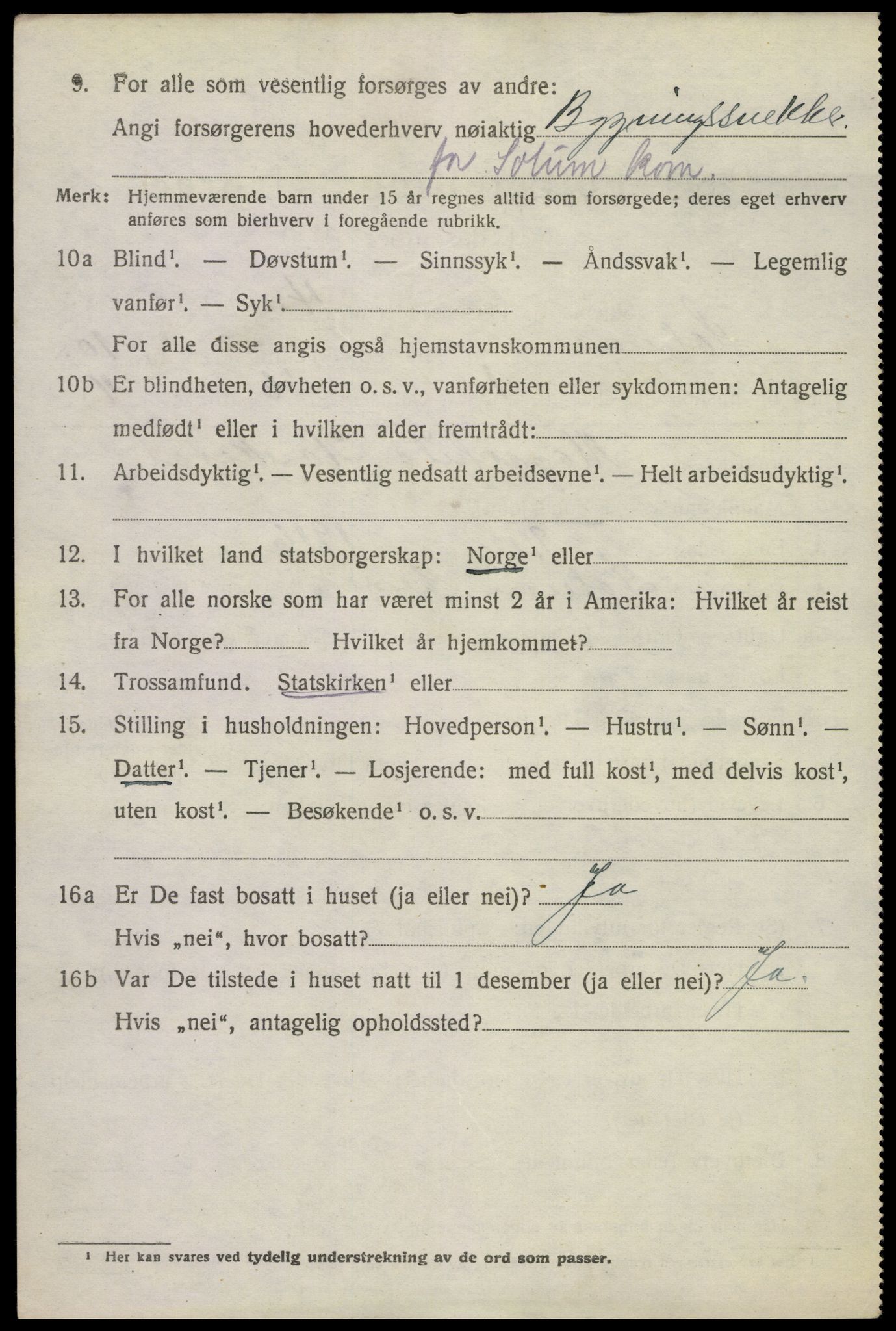 SAKO, 1920 census for Solum, 1920, p. 15343