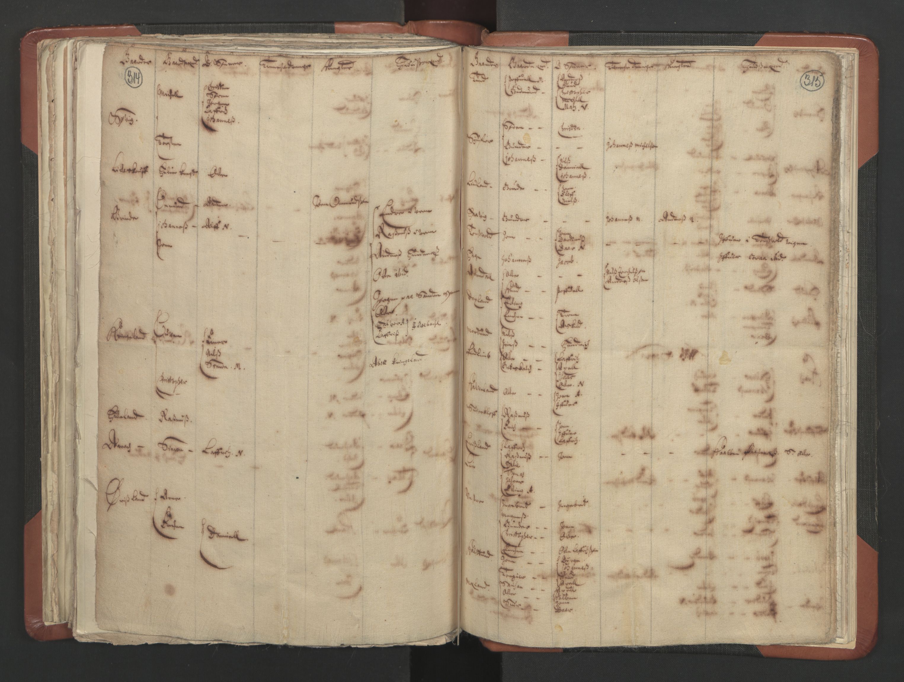 RA, Vicar's Census 1664-1666, no. 19: Ryfylke deanery, 1664-1666, p. 314-315