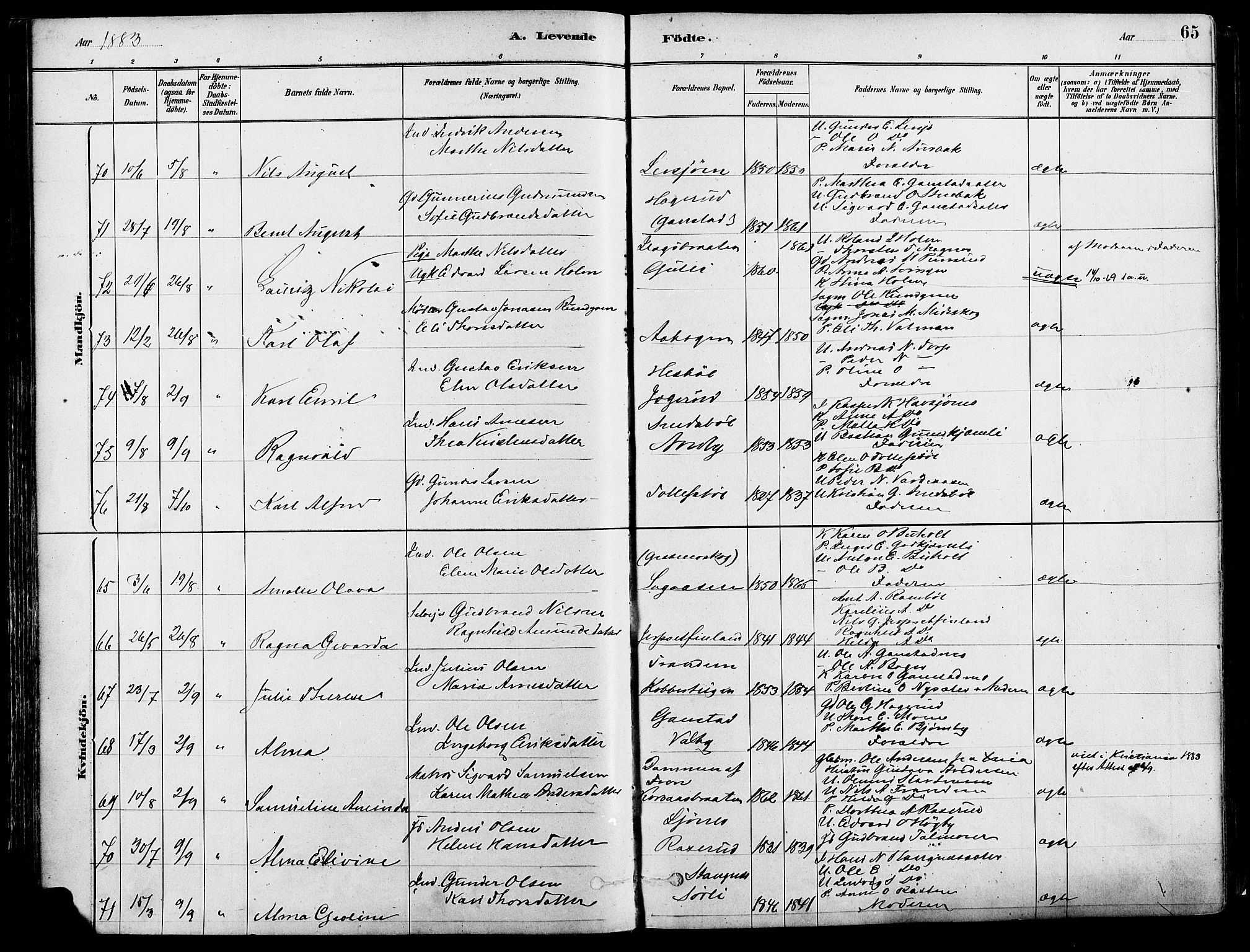Eidskog prestekontor, SAH/PREST-026/H/Ha/Haa/L0003: Parish register (official) no. 3, 1879-1892, p. 65
