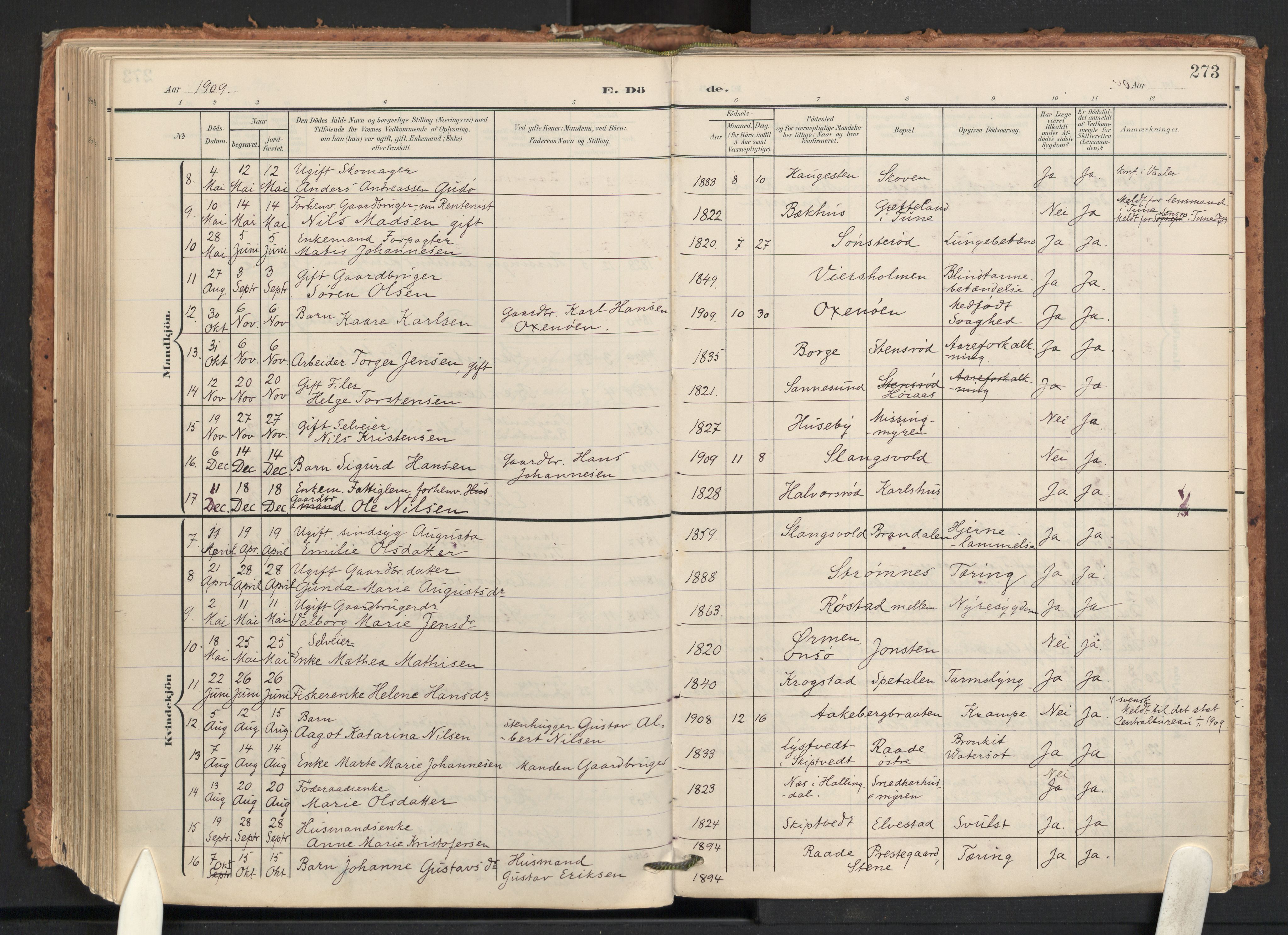 Råde prestekontor kirkebøker, AV/SAO-A-2009/F/Fa/L0008: Parish register (official) no. 8, 1903-1924, p. 273