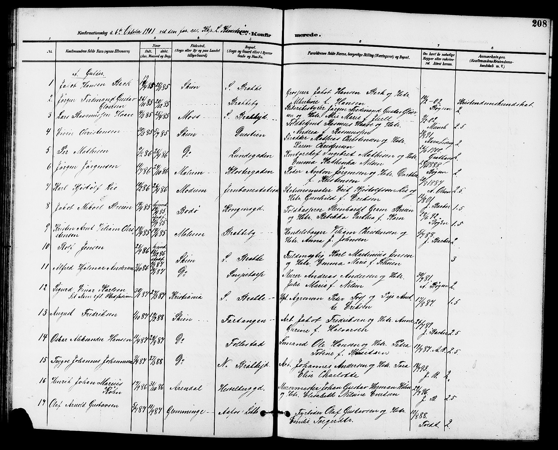 Skien kirkebøker, AV/SAKO-A-302/G/Ga/L0008: Parish register (copy) no. 8, 1900-1910, p. 208