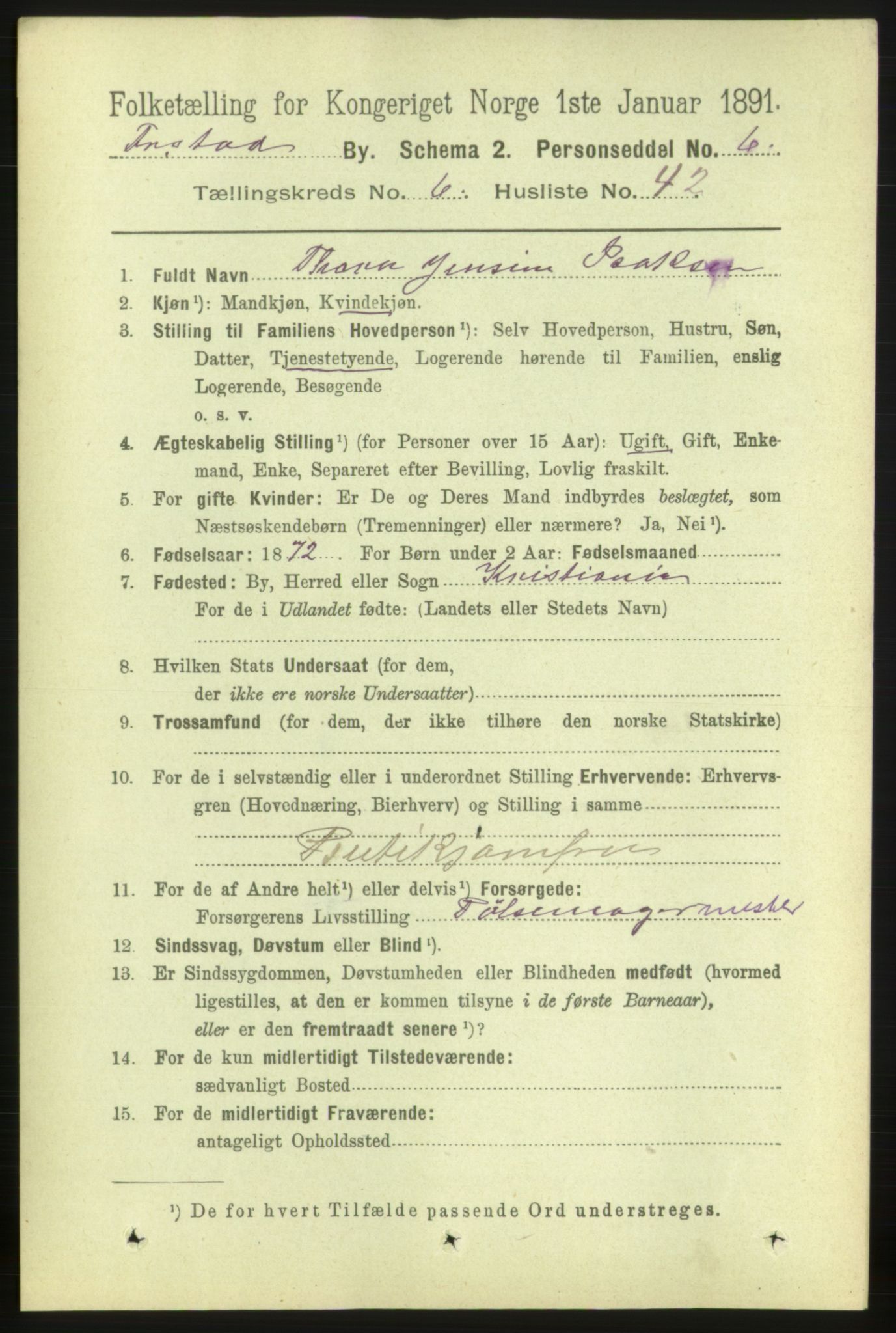 RA, 1891 census for 0103 Fredrikstad, 1891, p. 8022