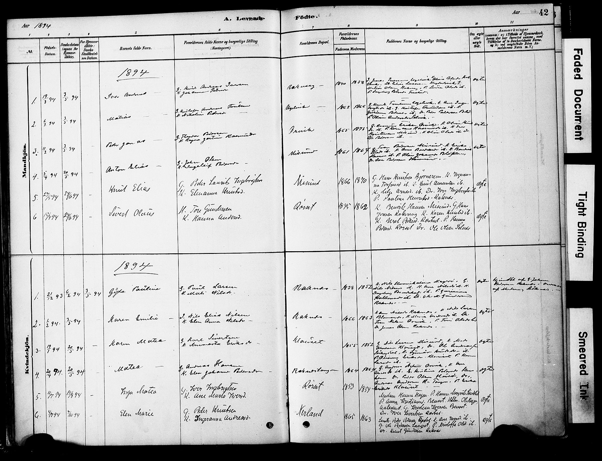 Ministerialprotokoller, klokkerbøker og fødselsregistre - Møre og Romsdal, AV/SAT-A-1454/563/L0736: Parish register (official) no. 563A01, 1878-1903, p. 42