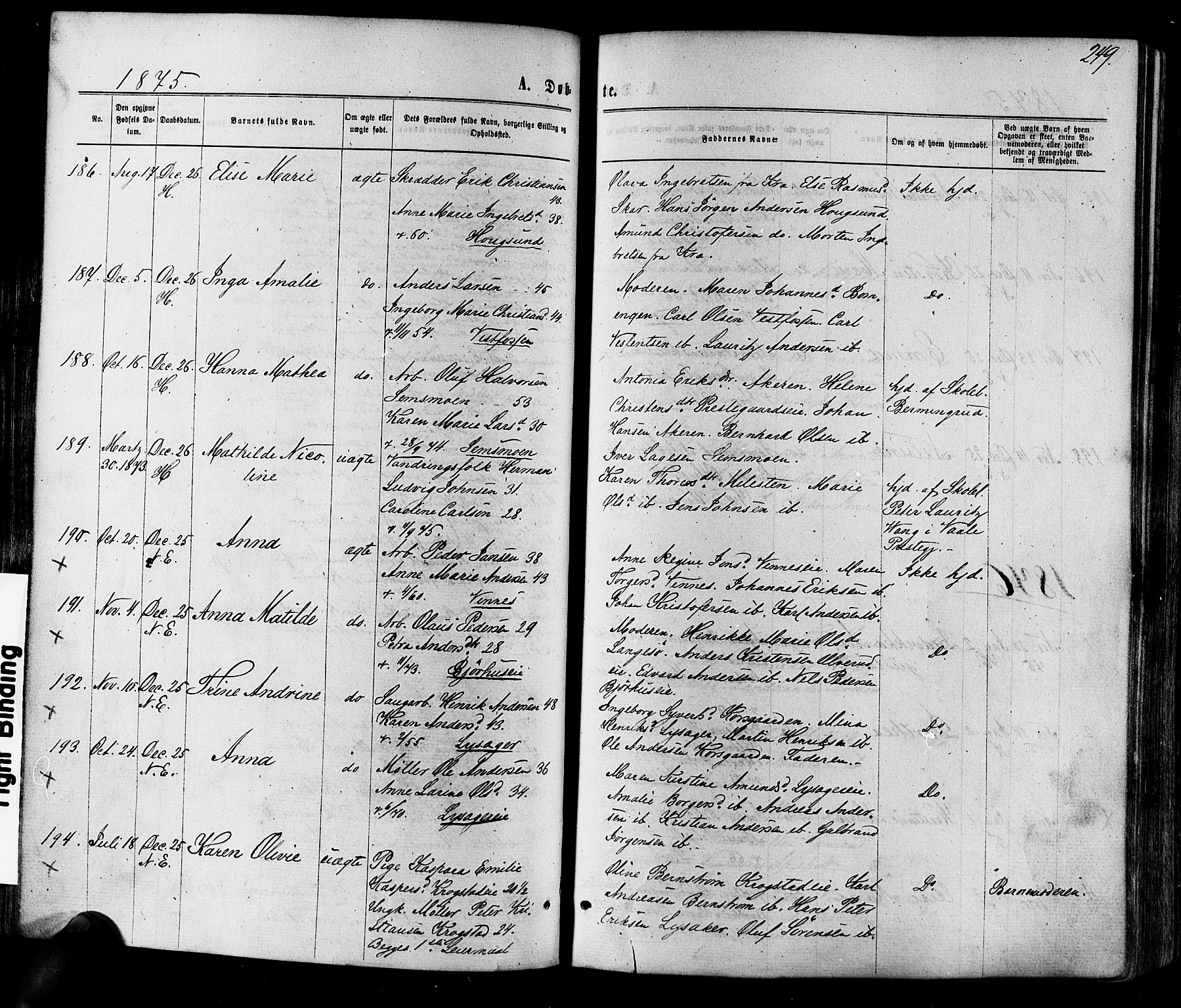 Eiker kirkebøker, SAKO/A-4/F/Fa/L0017: Parish register (official) no. I 17, 1869-1877, p. 249