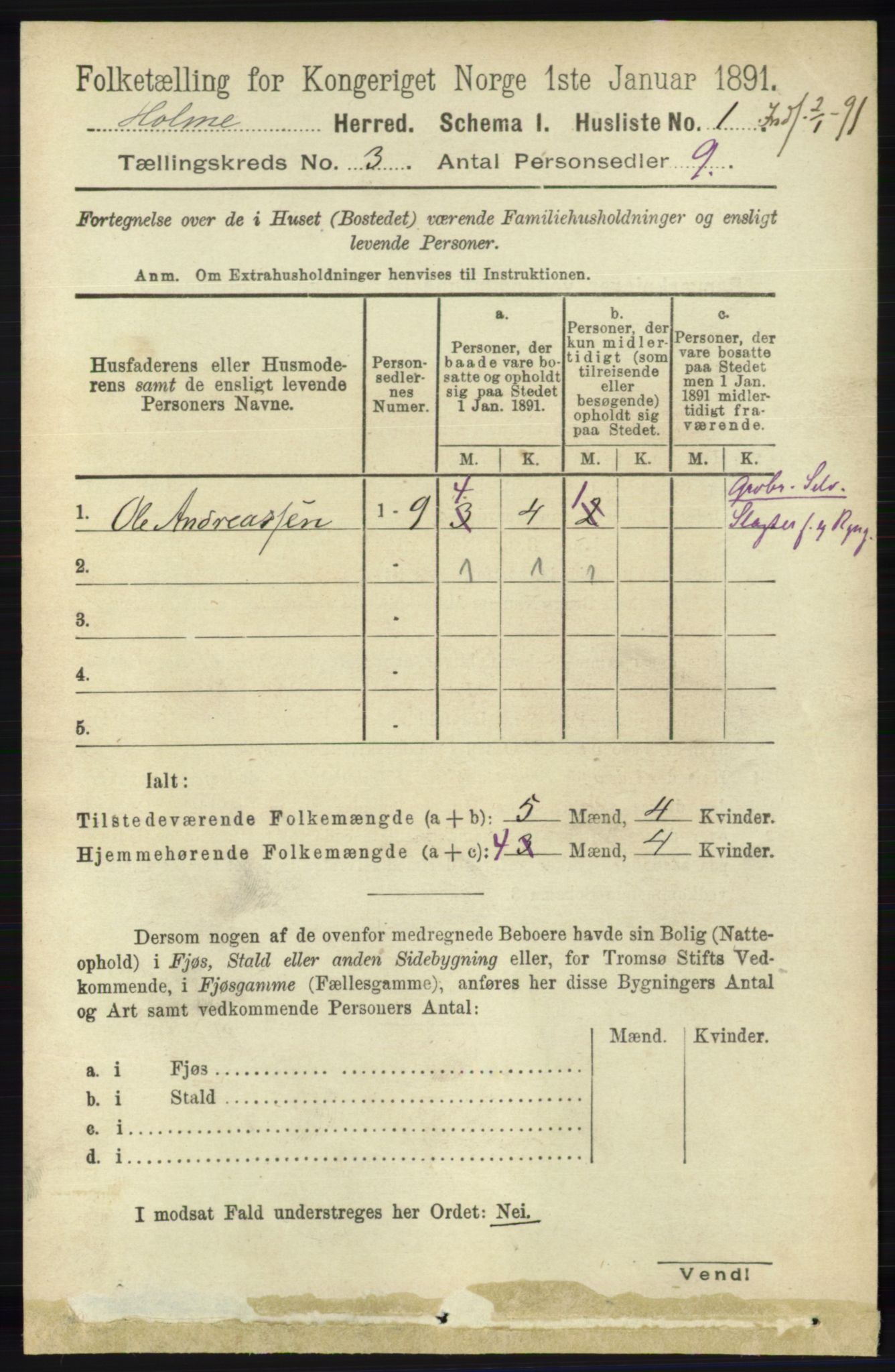 RA, 1891 census for 1020 Holum, 1891, p. 778