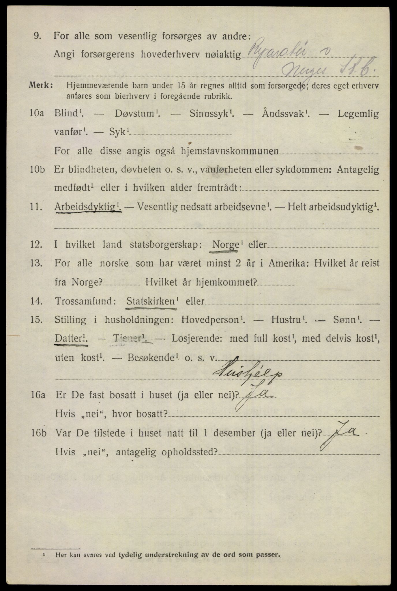 SAKO, 1920 census for Ål, 1920, p. 7029