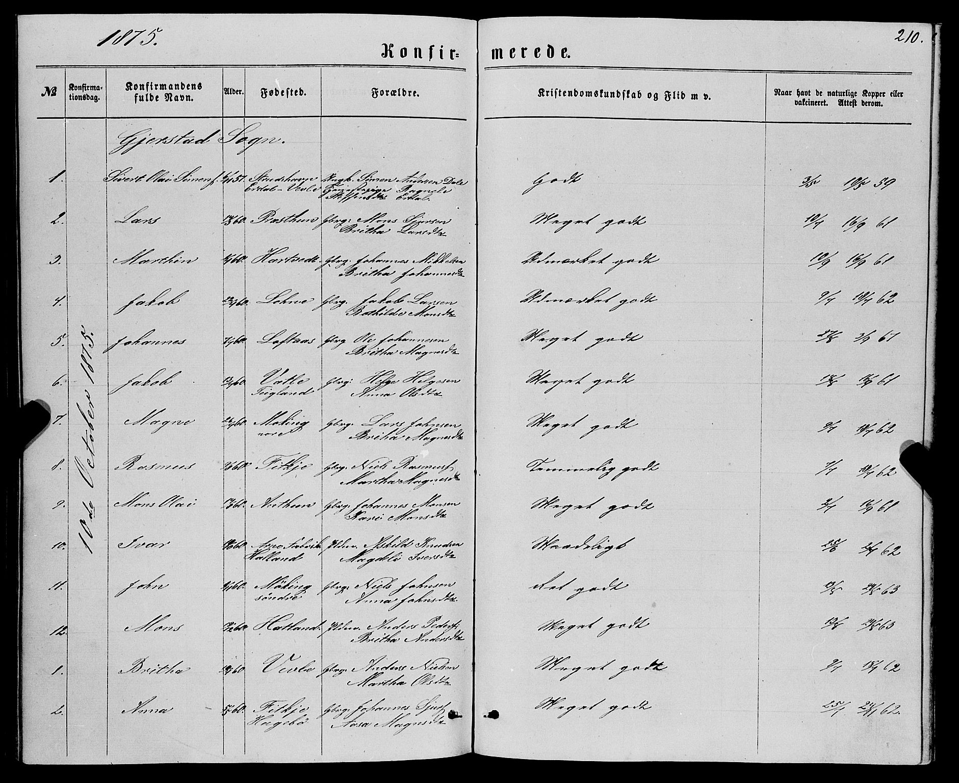 Haus sokneprestembete, AV/SAB-A-75601/H/Haa: Parish register (official) no. A 18, 1871-1877, p. 210