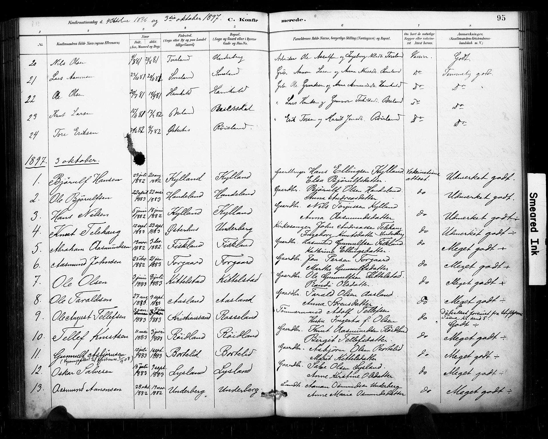 Åseral sokneprestkontor, AV/SAK-1111-0051/F/Fa/L0003: Parish register (official) no. A 3, 1884-1901, p. 95