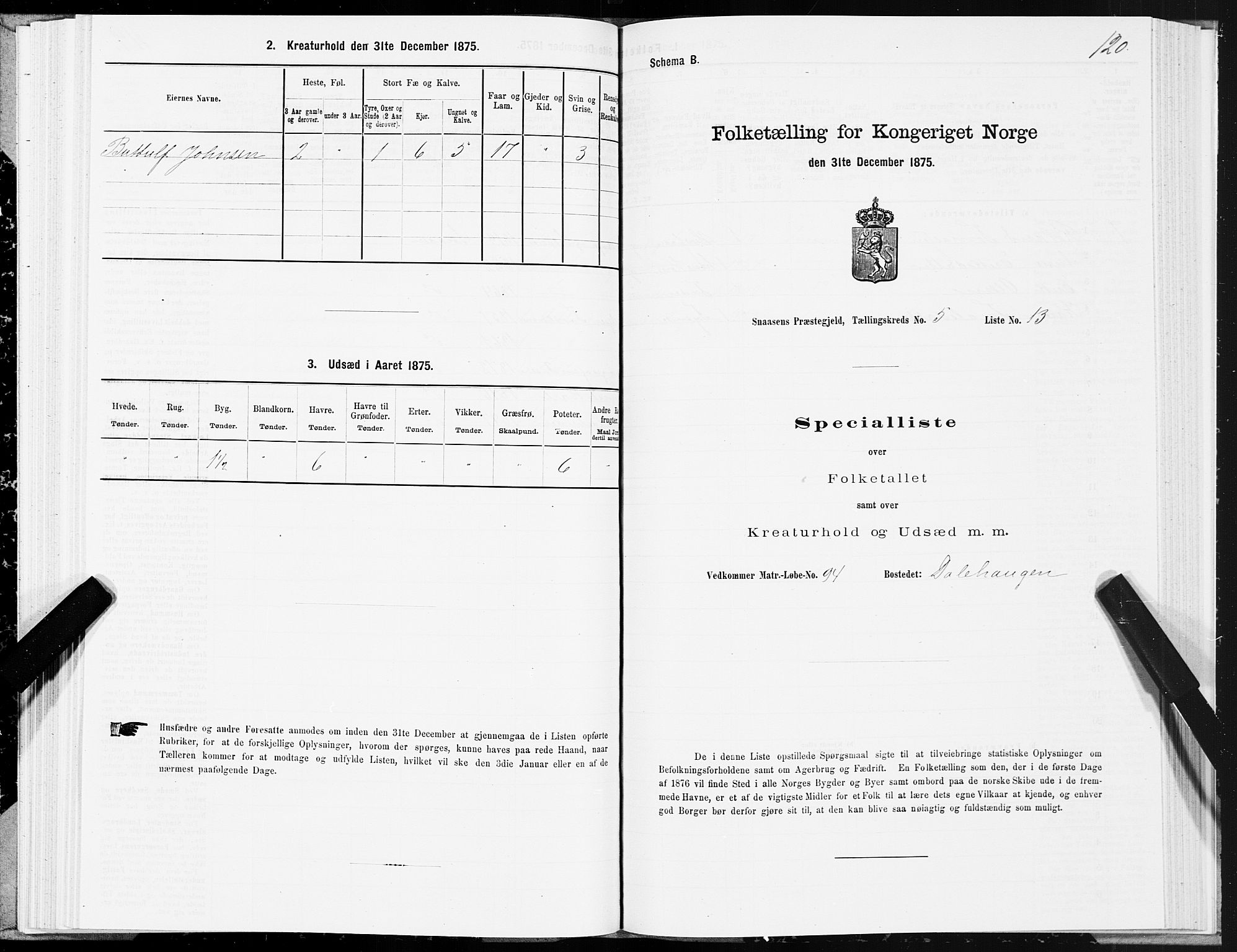 SAT, 1875 census for 1736P Snåsa, 1875, p. 2120