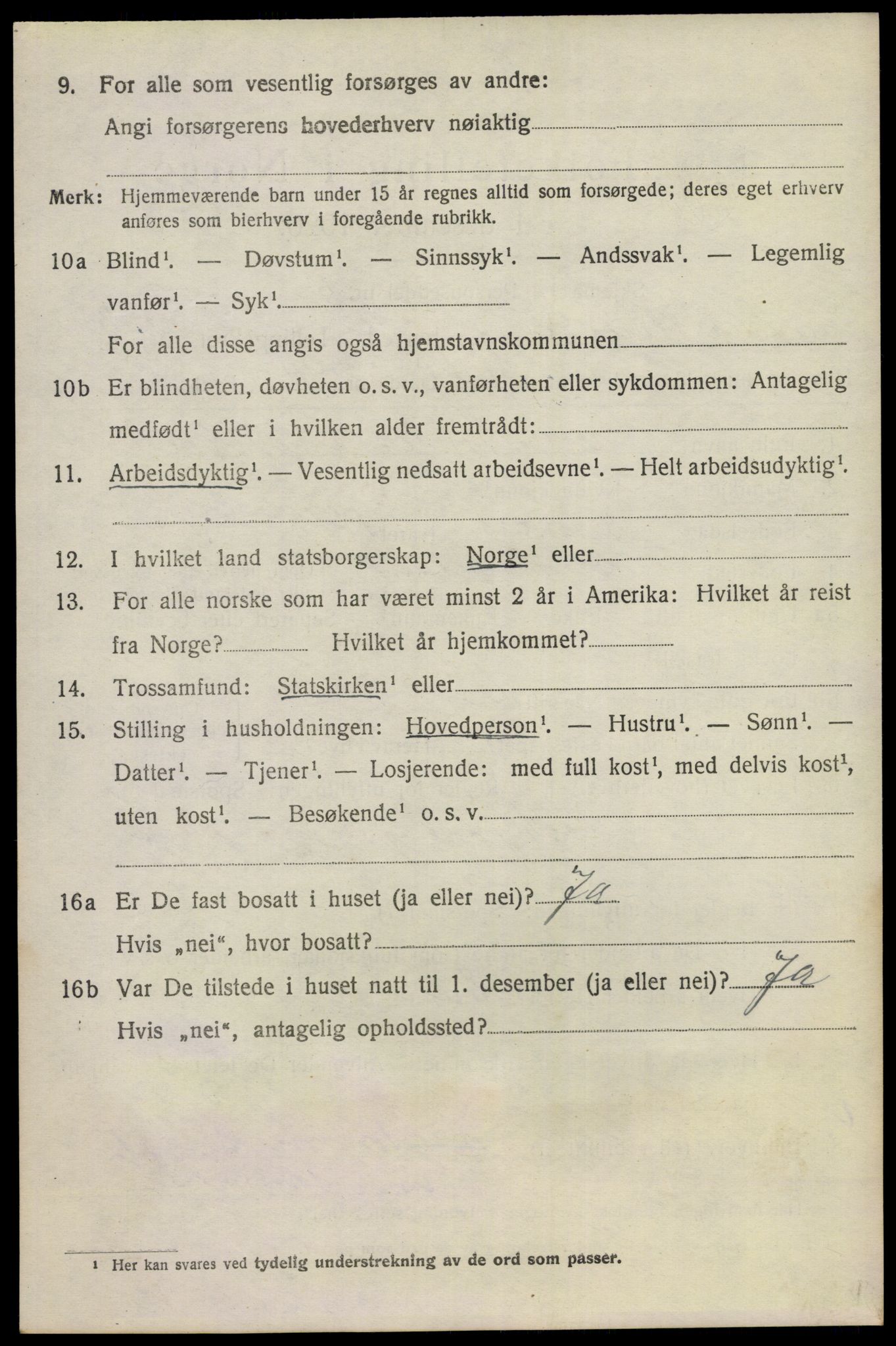 SAKO, 1920 census for Nes (Buskerud), 1920, p. 1925