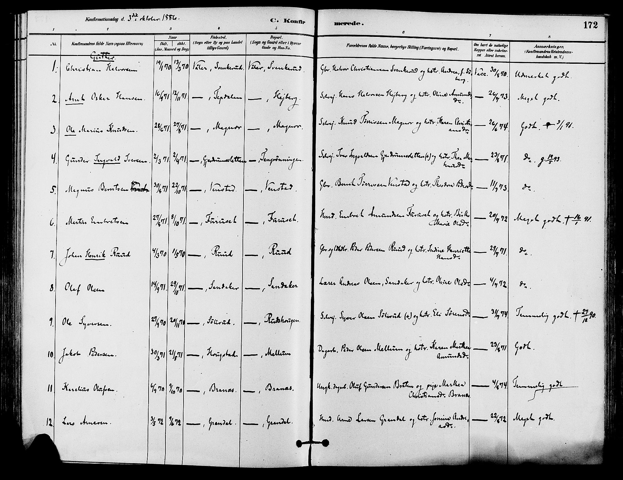 Våler prestekontor, Hedmark, AV/SAH-PREST-040/H/Ha/Haa/L0002: Parish register (official) no. 3, 1879-1911, p. 172