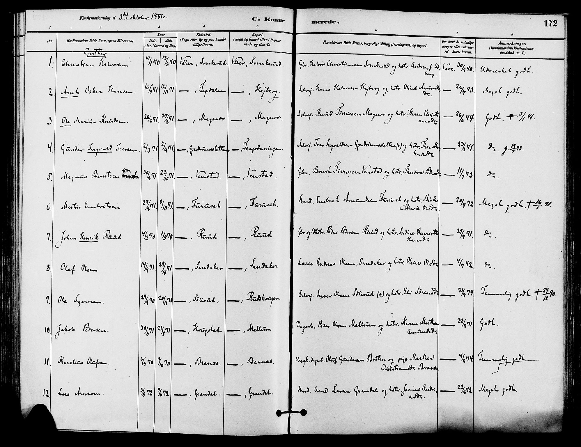 Våler prestekontor, Hedmark, SAH/PREST-040/H/Ha/Haa/L0002: Parish register (official) no. 3, 1879-1911, p. 172