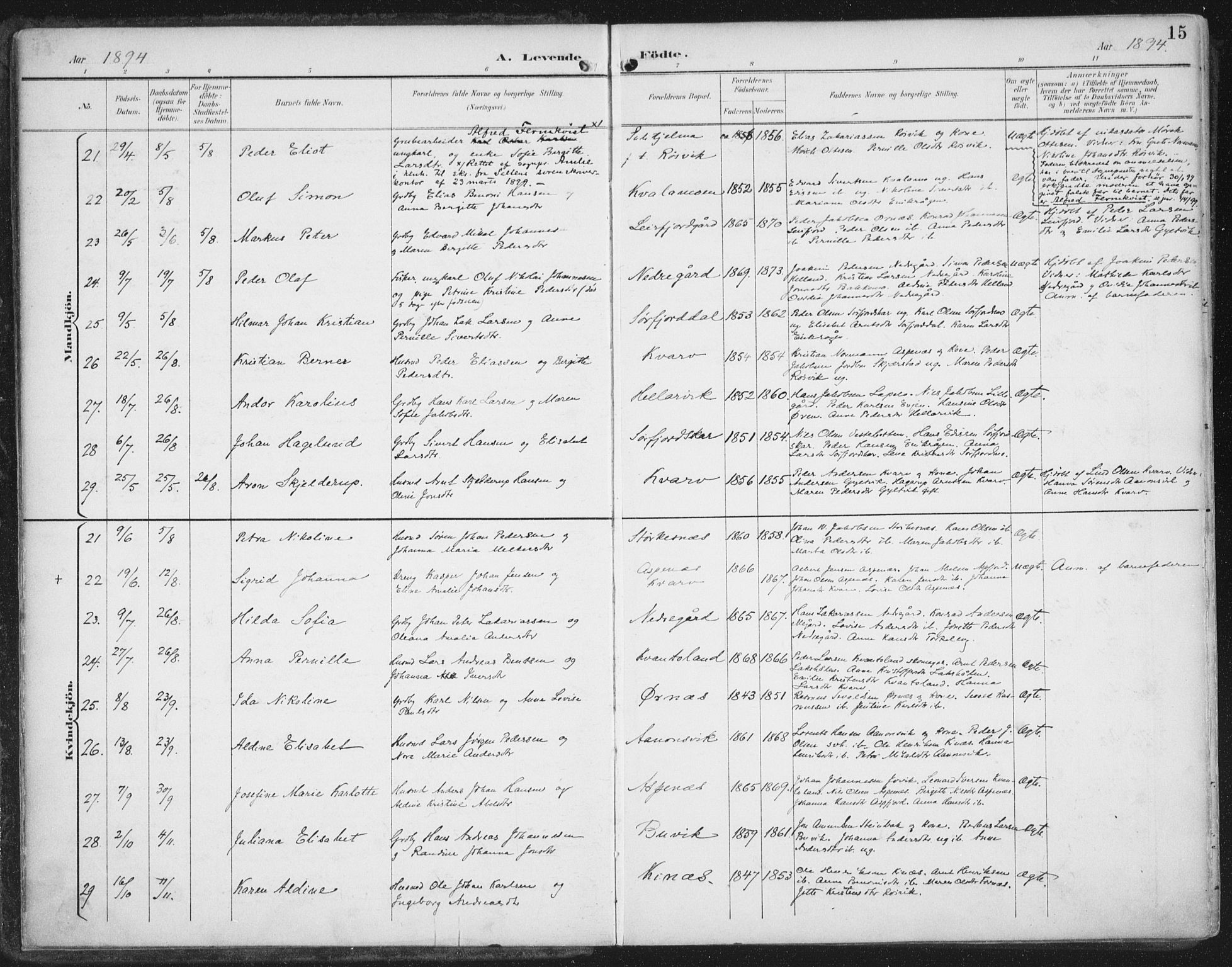 Ministerialprotokoller, klokkerbøker og fødselsregistre - Nordland, AV/SAT-A-1459/854/L0779: Parish register (official) no. 854A02, 1892-1909, p. 15