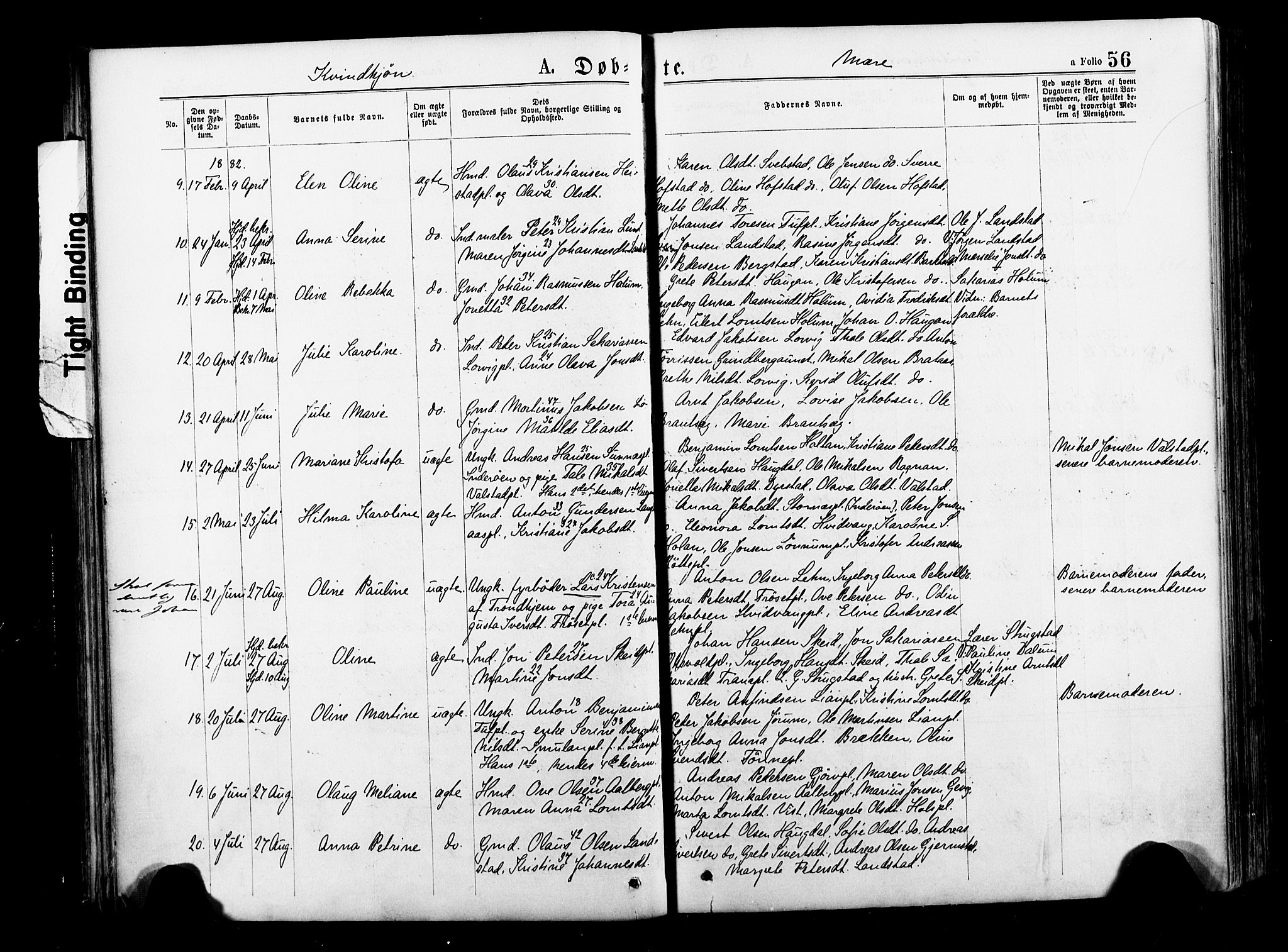 Ministerialprotokoller, klokkerbøker og fødselsregistre - Nord-Trøndelag, SAT/A-1458/735/L0348: Parish register (official) no. 735A09 /1, 1873-1883, p. 56