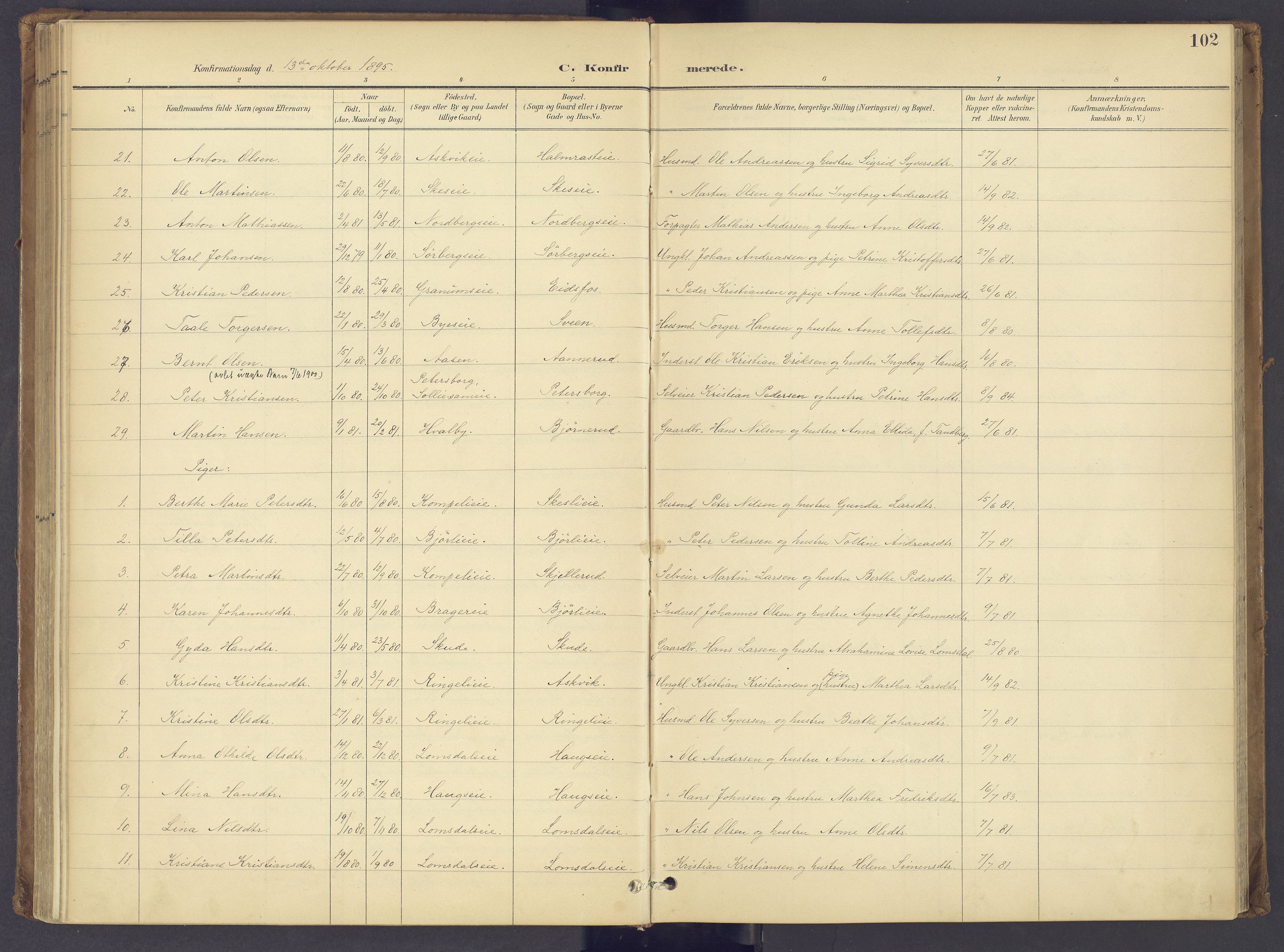 Søndre Land prestekontor, AV/SAH-PREST-122/K/L0006: Parish register (official) no. 6, 1895-1904, p. 102