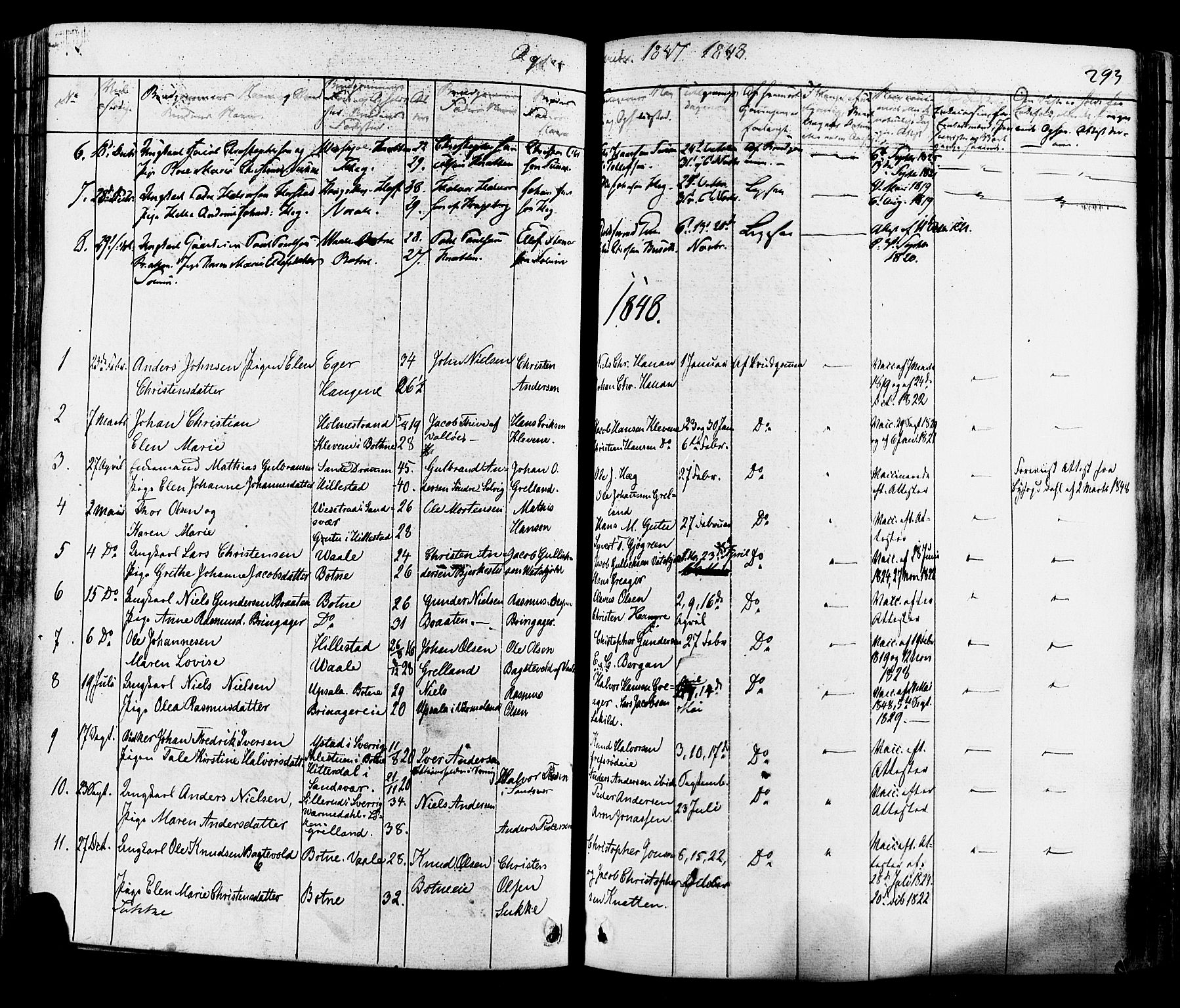 Botne kirkebøker, AV/SAKO-A-340/F/Fa/L0006: Parish register (official) no. I 6, 1836-1877, p. 293