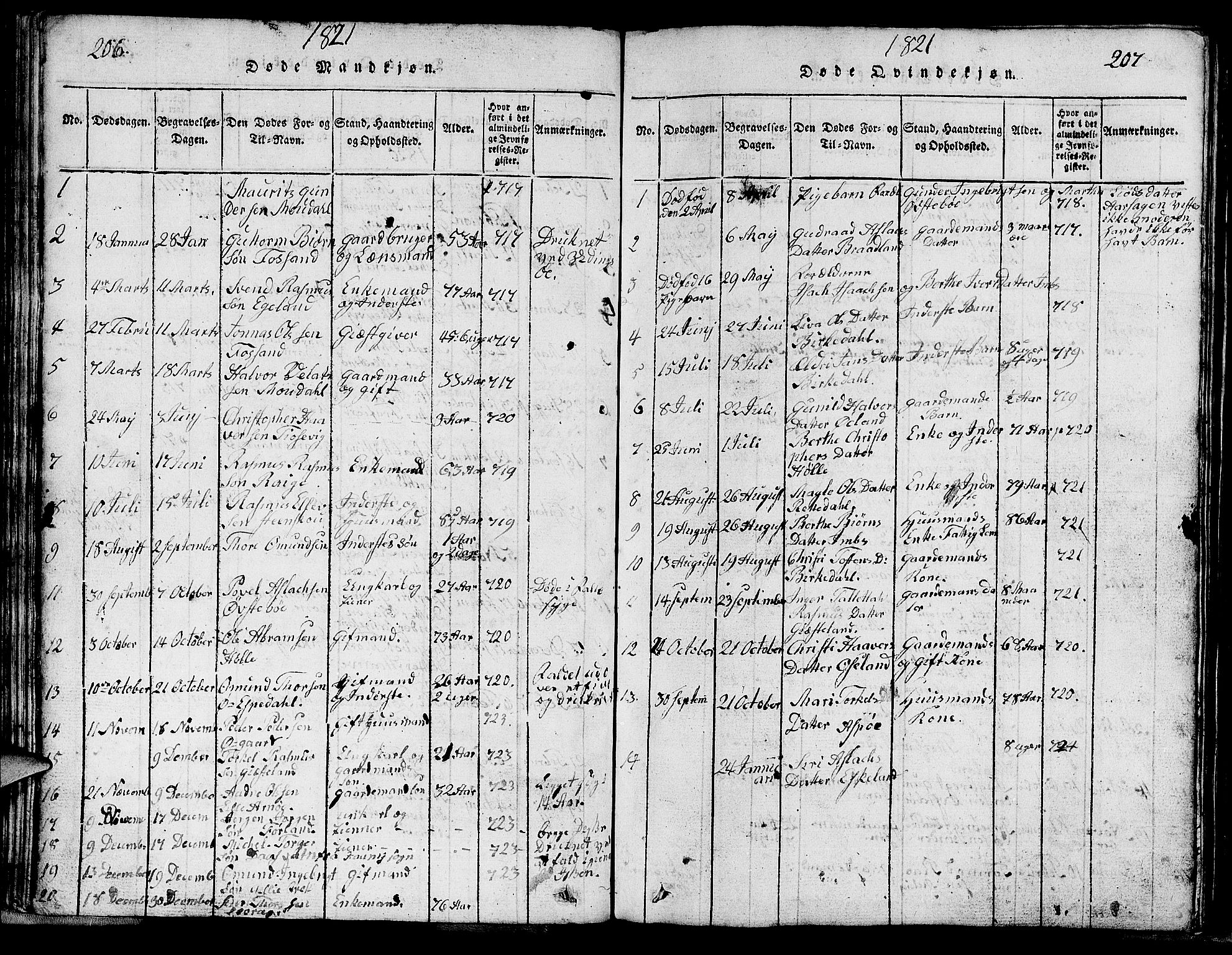 Strand sokneprestkontor, SAST/A-101828/H/Ha/Hab/L0002: Parish register (copy) no. B 2, 1816-1854, p. 206-207