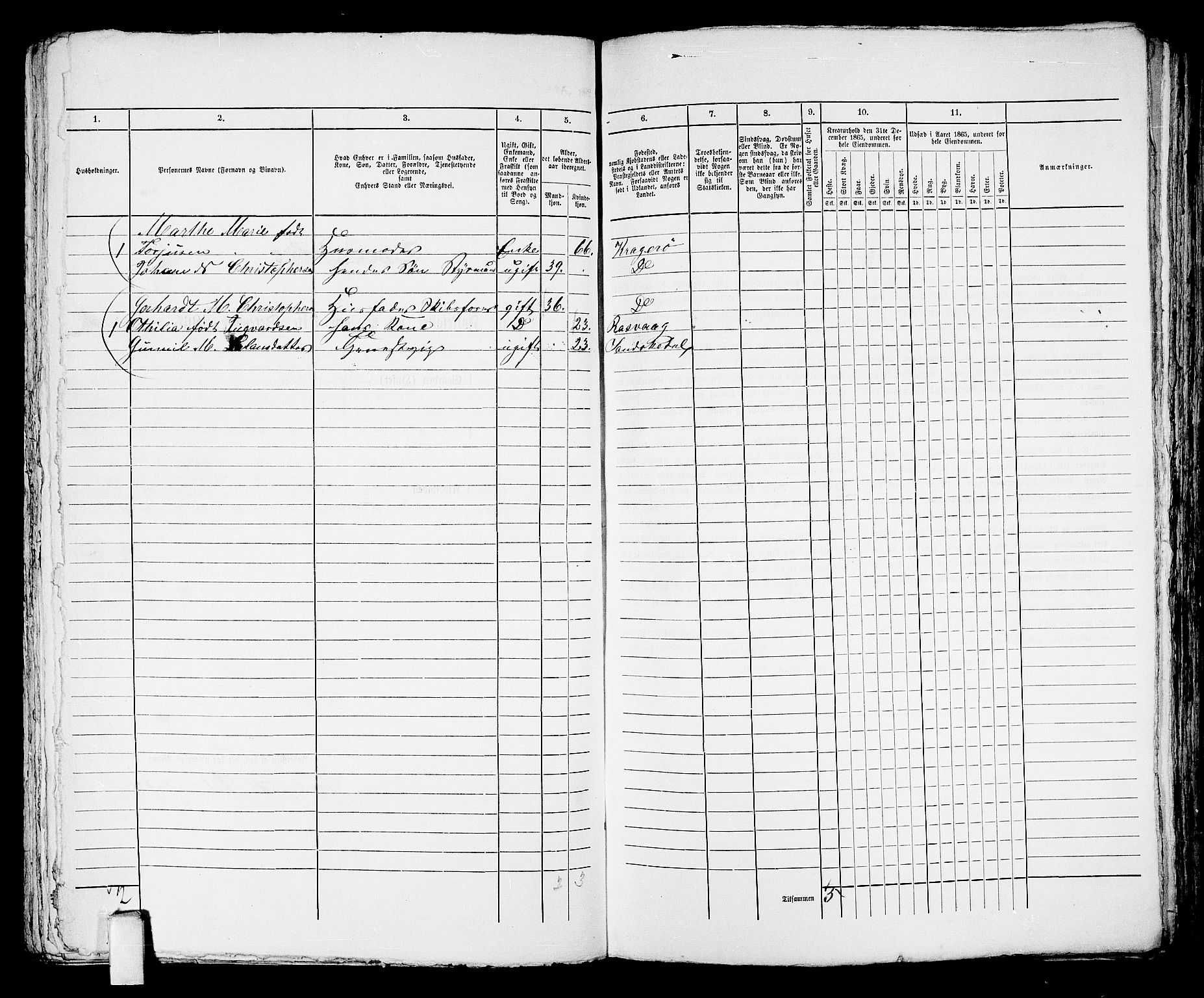 RA, 1865 census for Kragerø/Kragerø, 1865, p. 365