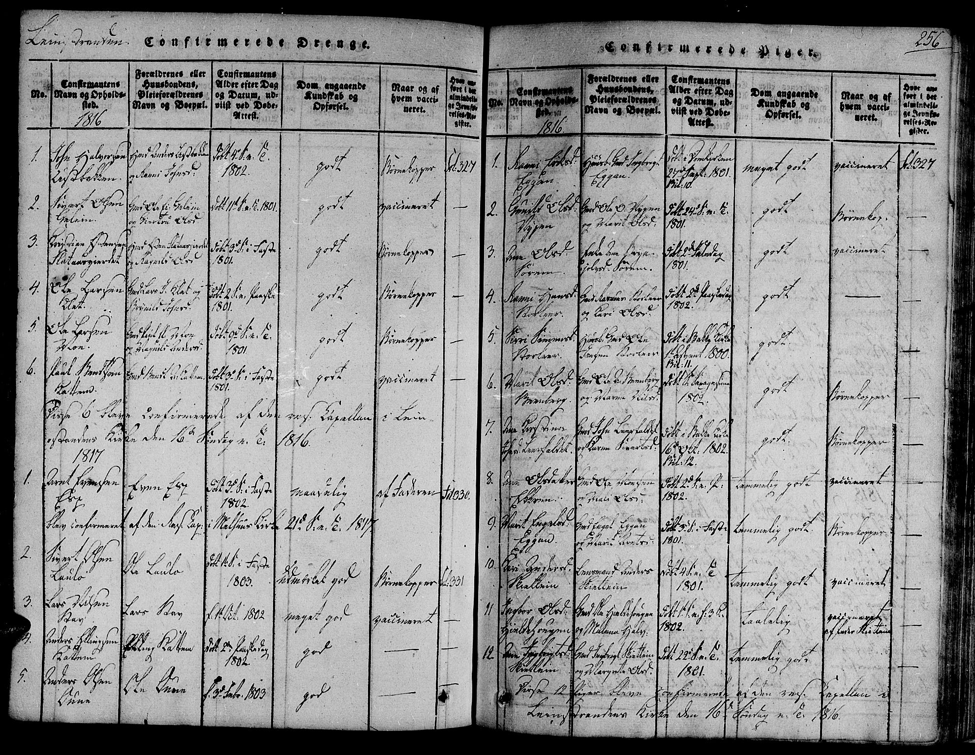 Ministerialprotokoller, klokkerbøker og fødselsregistre - Sør-Trøndelag, SAT/A-1456/691/L1067: Parish register (official) no. 691A03 /3, 1816-1826, p. 256