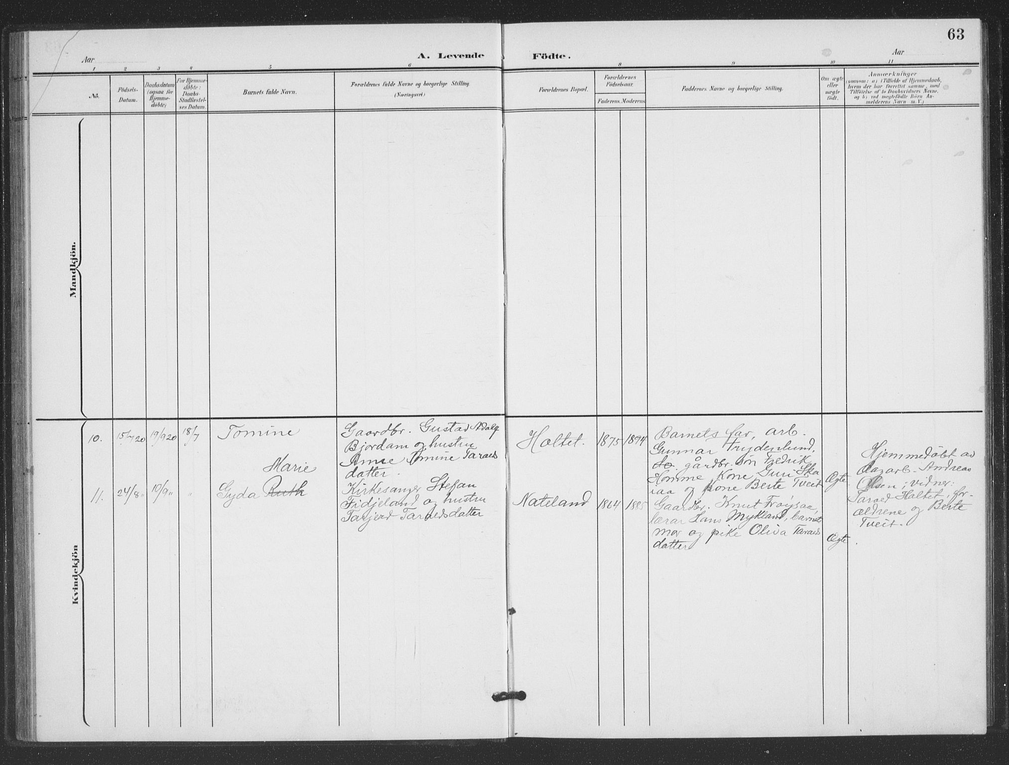 Evje sokneprestkontor, SAK/1111-0008/F/Fb/Fbc/L0005: Parish register (copy) no. B 5, 1901-1935, p. 63