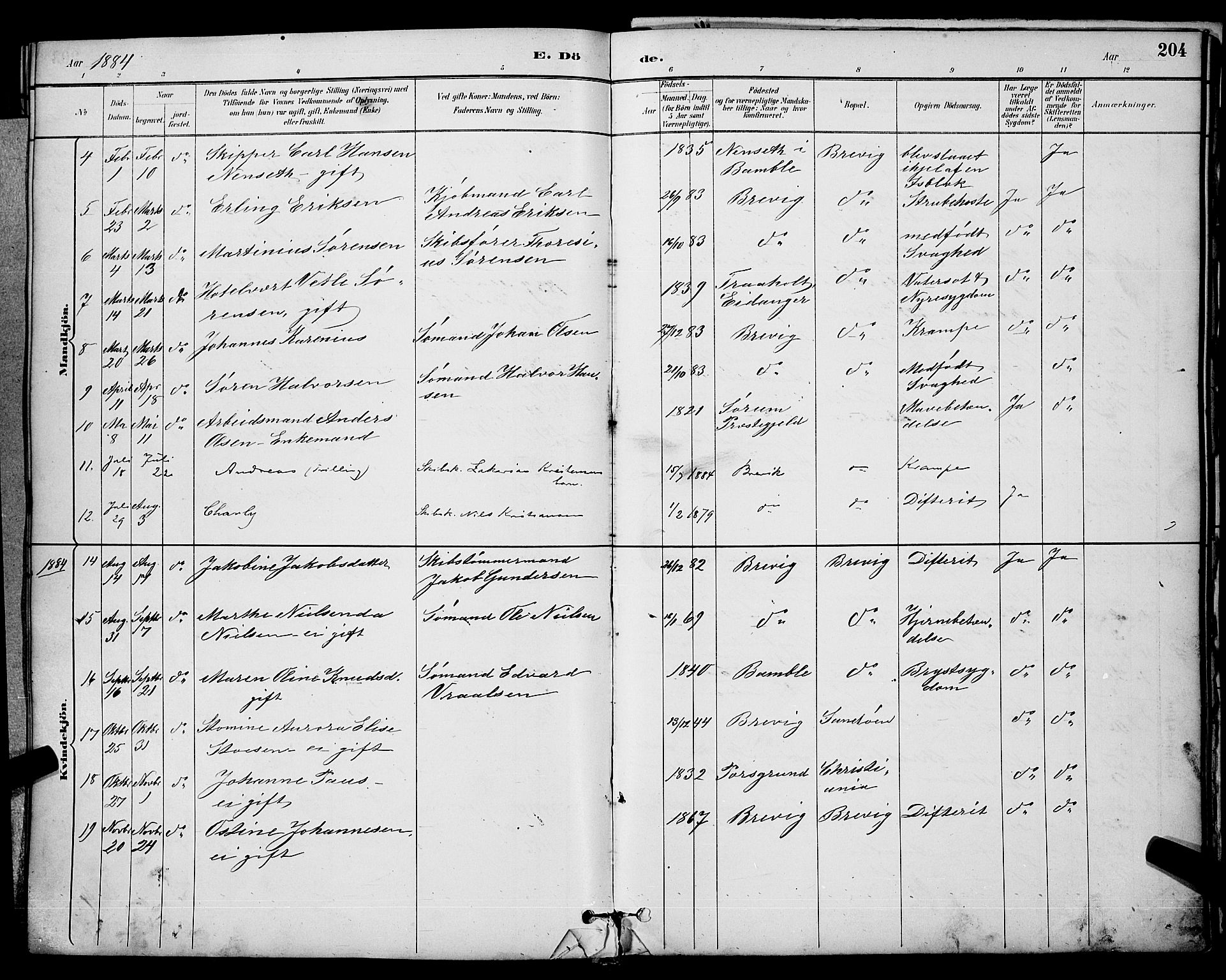 Brevik kirkebøker, AV/SAKO-A-255/G/Ga/L0004: Parish register (copy) no. 4, 1882-1900, p. 204