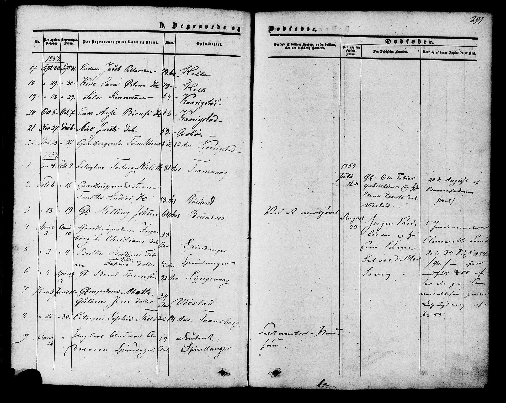 Herad sokneprestkontor, SAK/1111-0018/F/Fa/Fab/L0004: Parish register (official) no. A 4, 1853-1885, p. 291