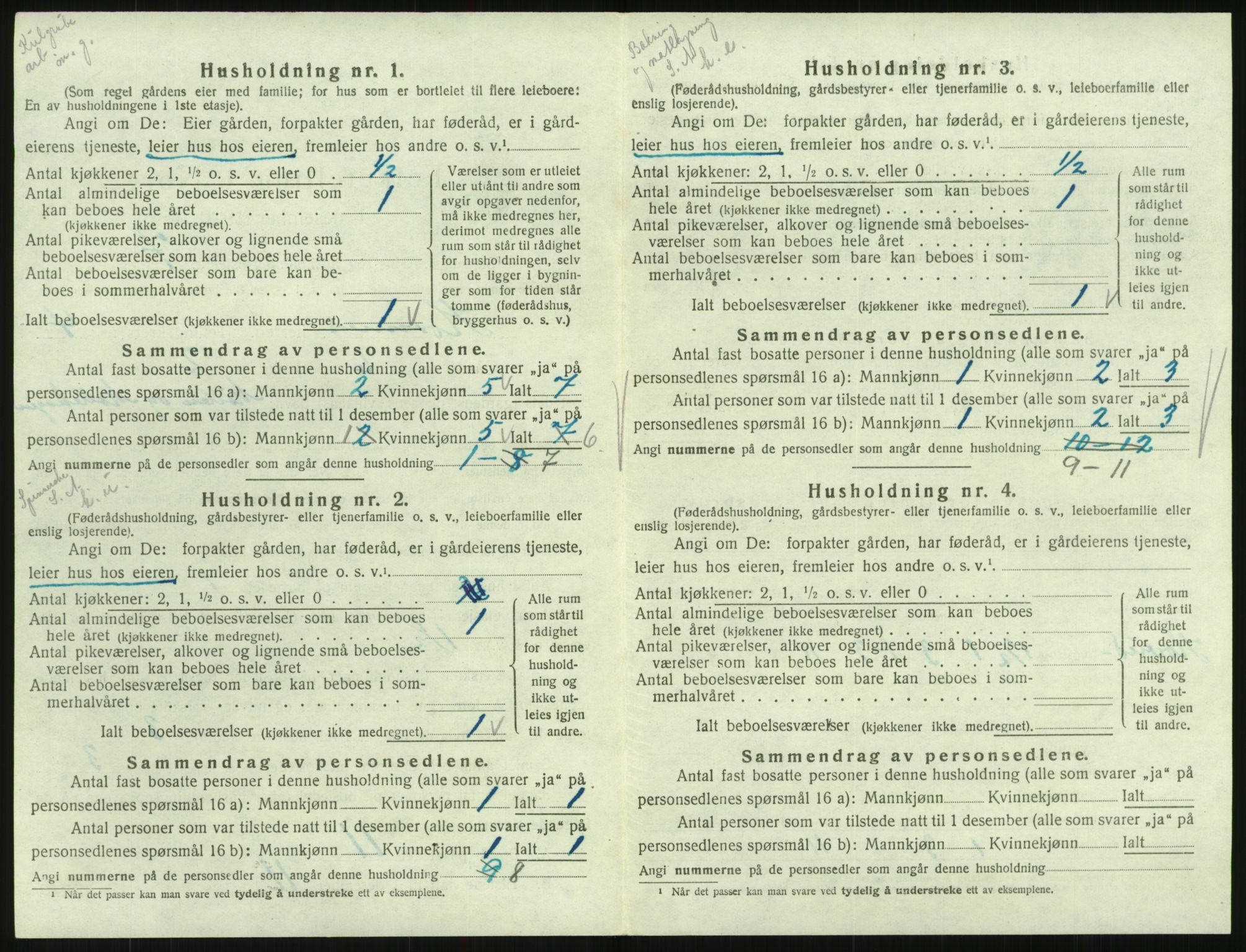 SAK, 1920 census for Hornnes, 1920, p. 186