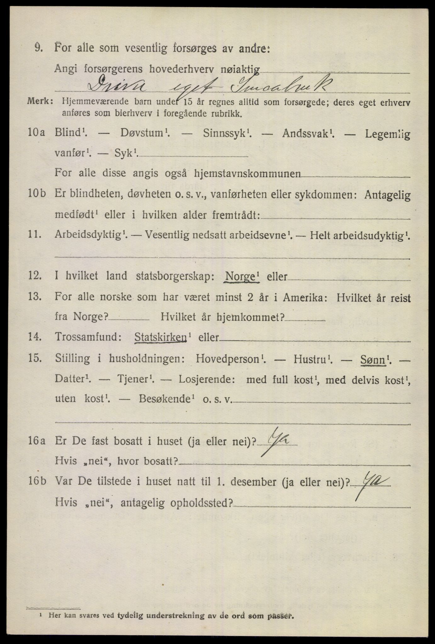 SAKO, 1920 census for Hemsedal, 1920, p. 1733