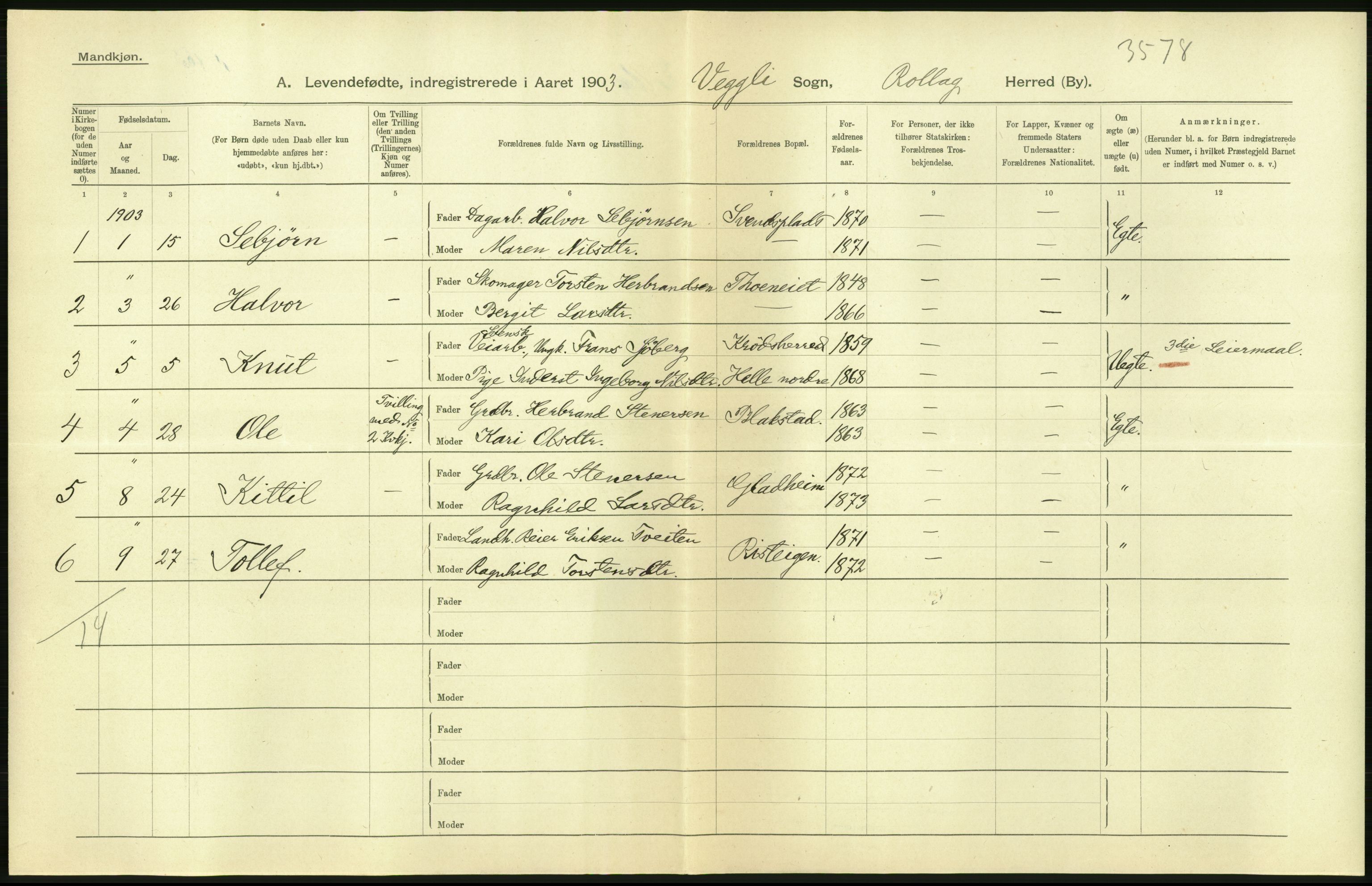 Statistisk sentralbyrå, Sosiodemografiske emner, Befolkning, AV/RA-S-2228/D/Df/Dfa/Dfaa/L0007: Buskeruds amt: Fødte, gifte, døde, 1903, p. 18