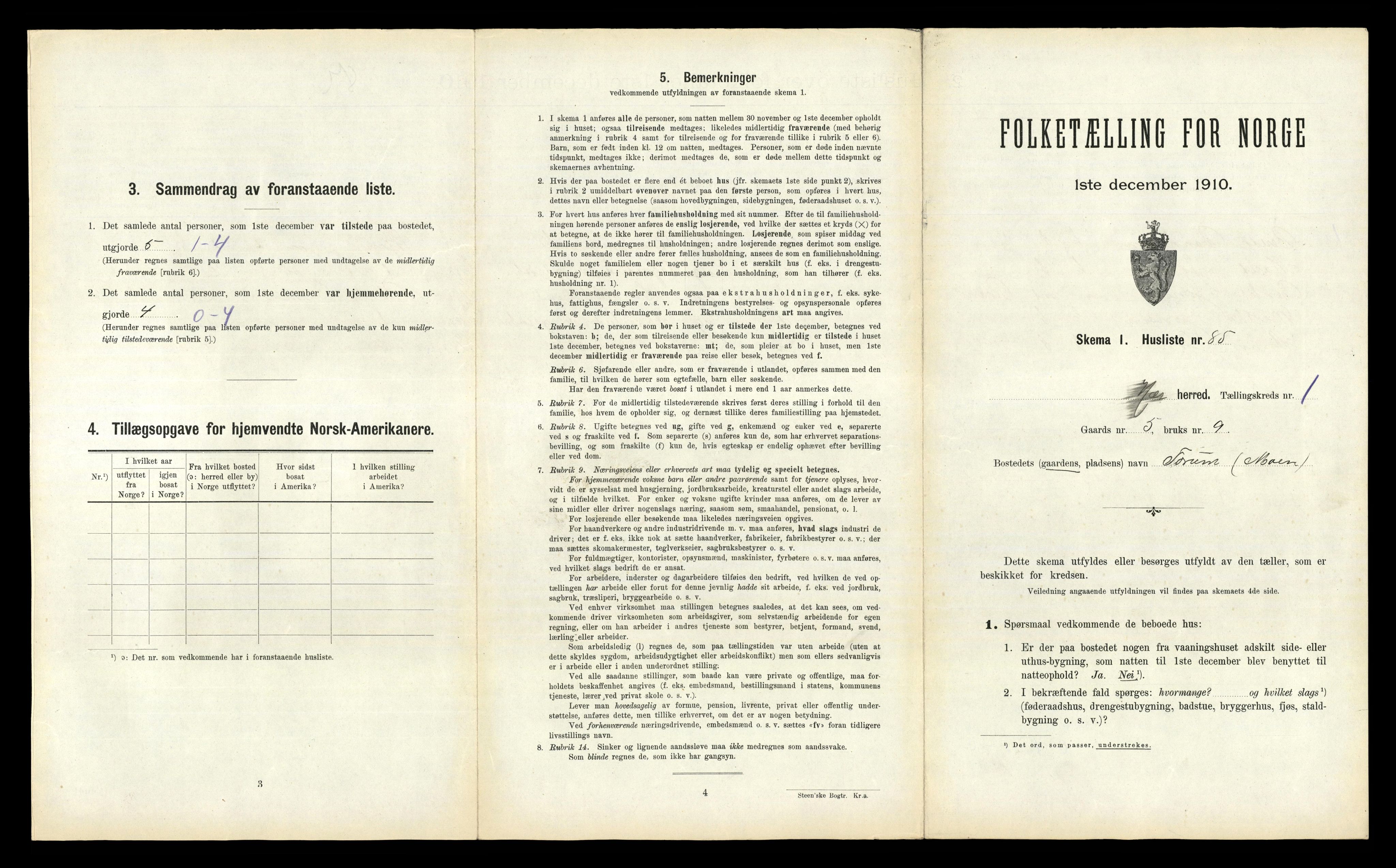 RA, 1910 census for Nes, 1910, p. 185