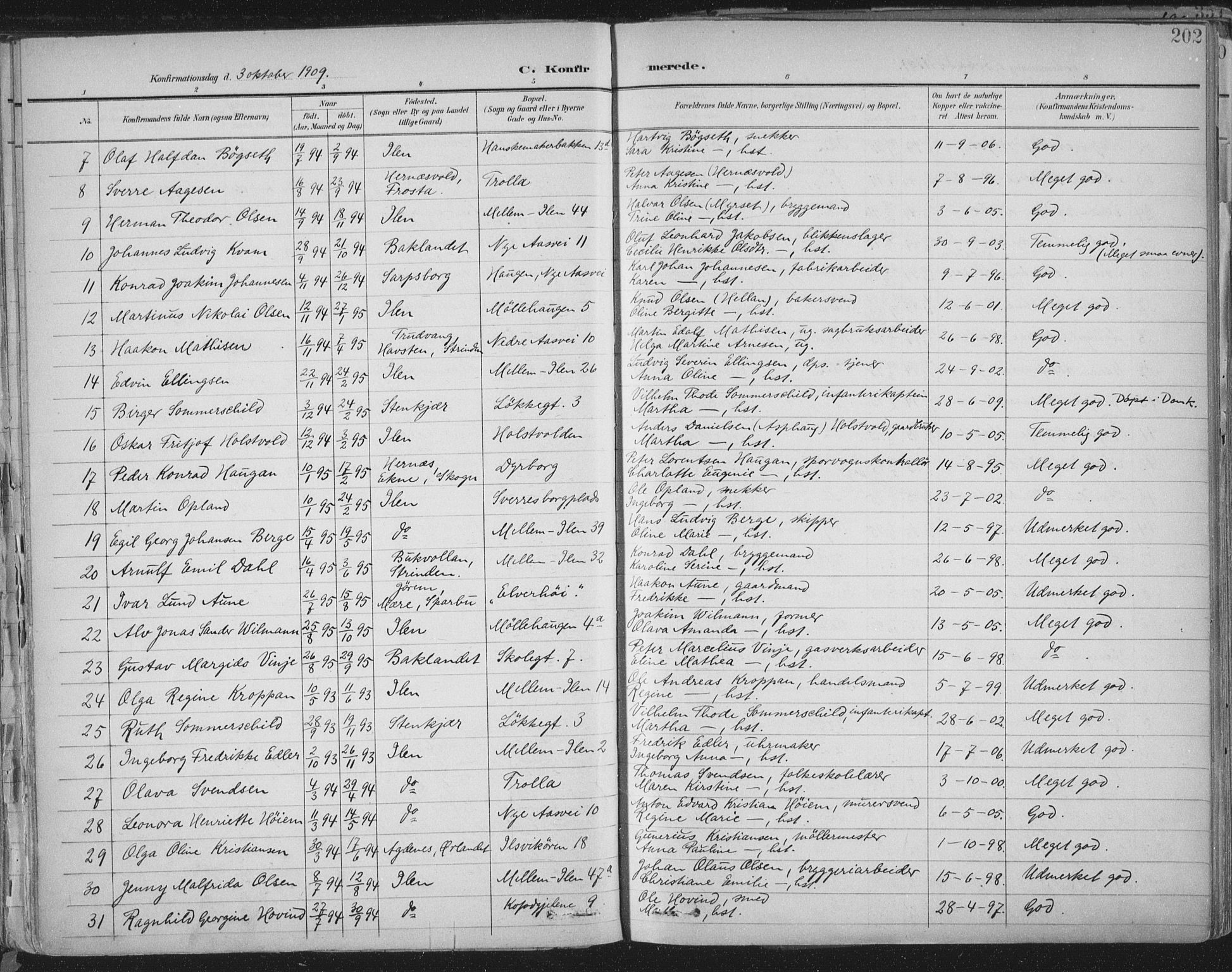 Ministerialprotokoller, klokkerbøker og fødselsregistre - Sør-Trøndelag, SAT/A-1456/603/L0167: Parish register (official) no. 603A06, 1896-1932, p. 202