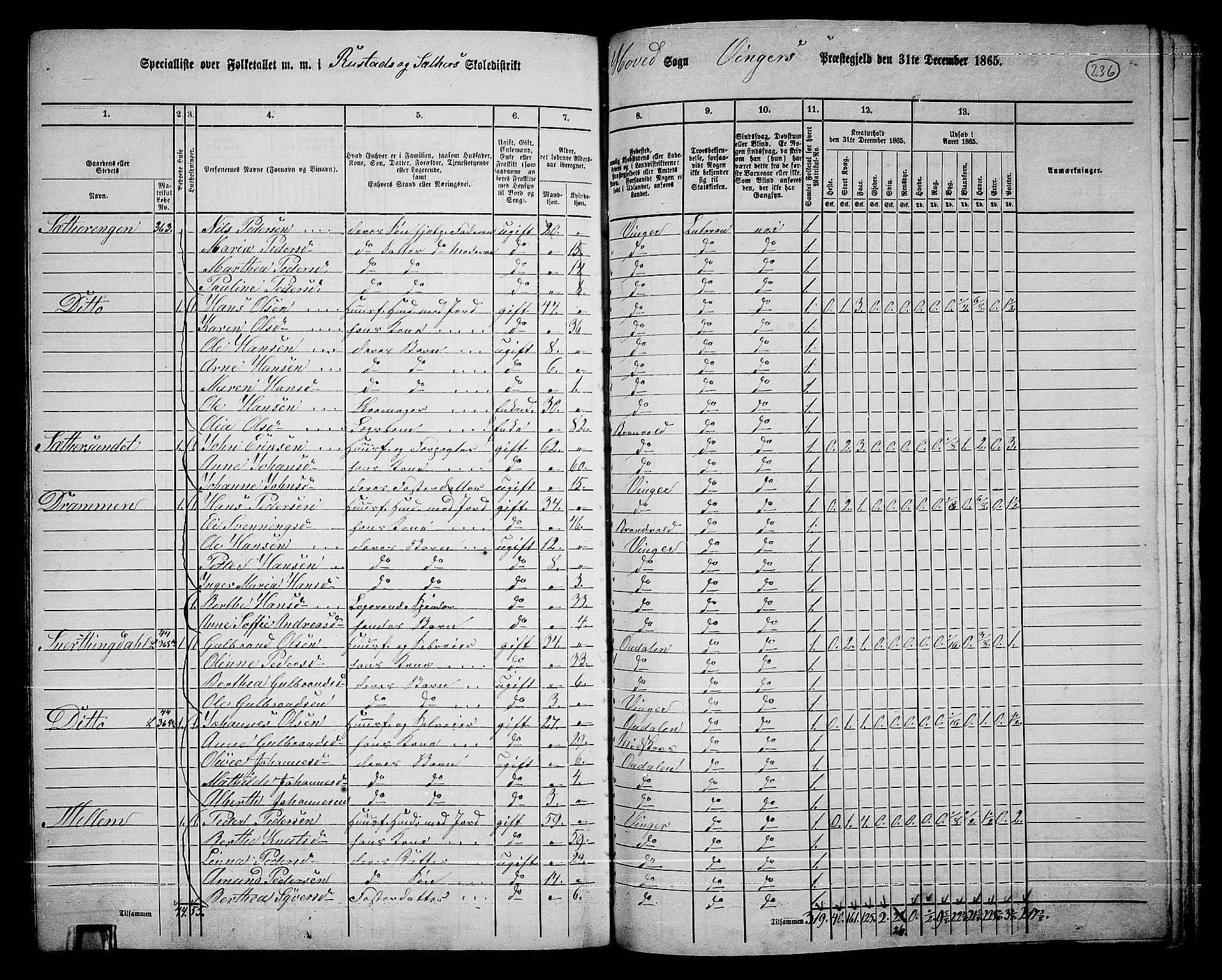 RA, 1865 census for Vinger/Vinger og Austmarka, 1865, p. 216