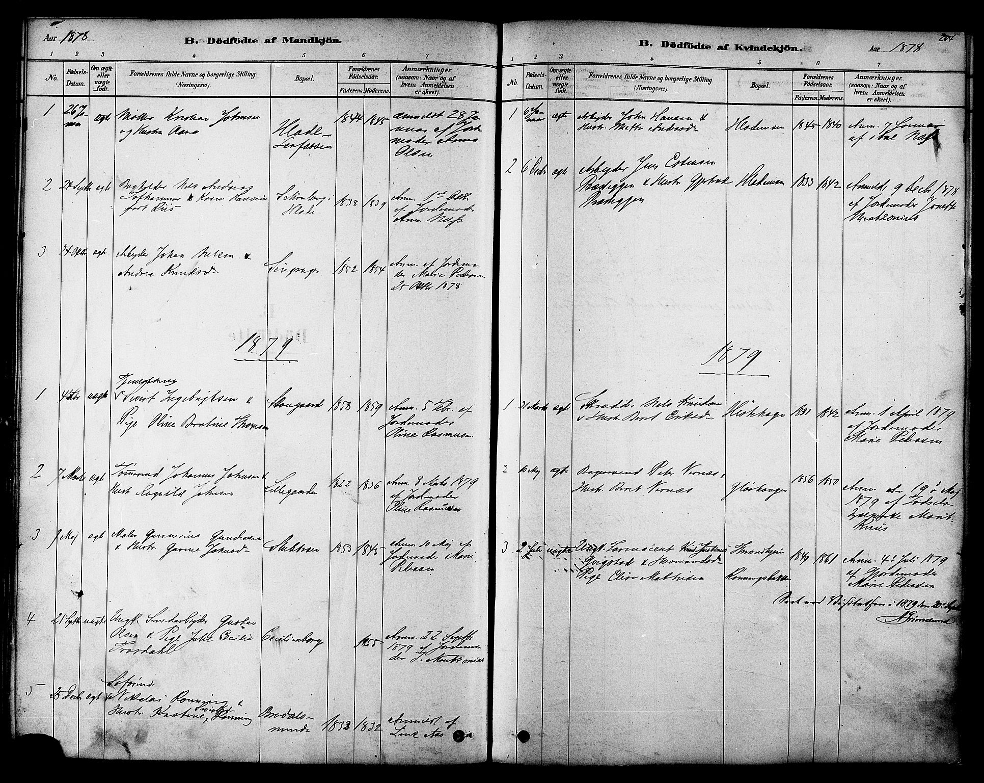 Ministerialprotokoller, klokkerbøker og fødselsregistre - Sør-Trøndelag, AV/SAT-A-1456/606/L0294: Parish register (official) no. 606A09, 1878-1886, p. 204