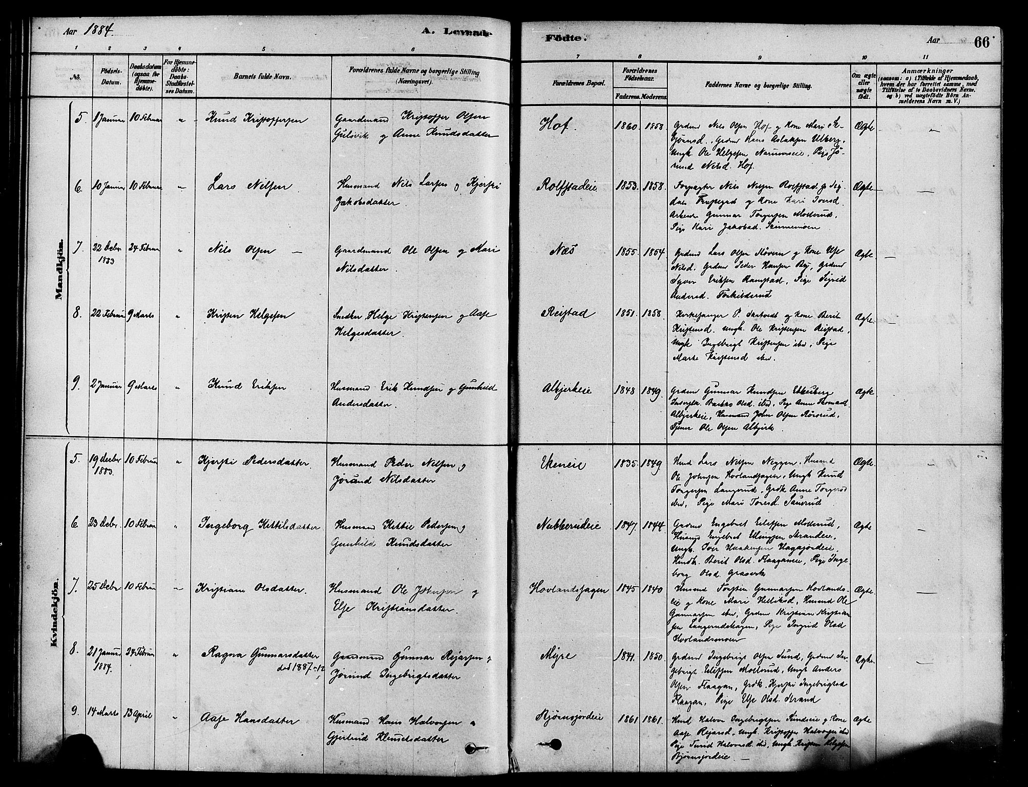 Sigdal kirkebøker, AV/SAKO-A-245/F/Fa/L0011: Parish register (official) no. I 11, 1879-1887, p. 66