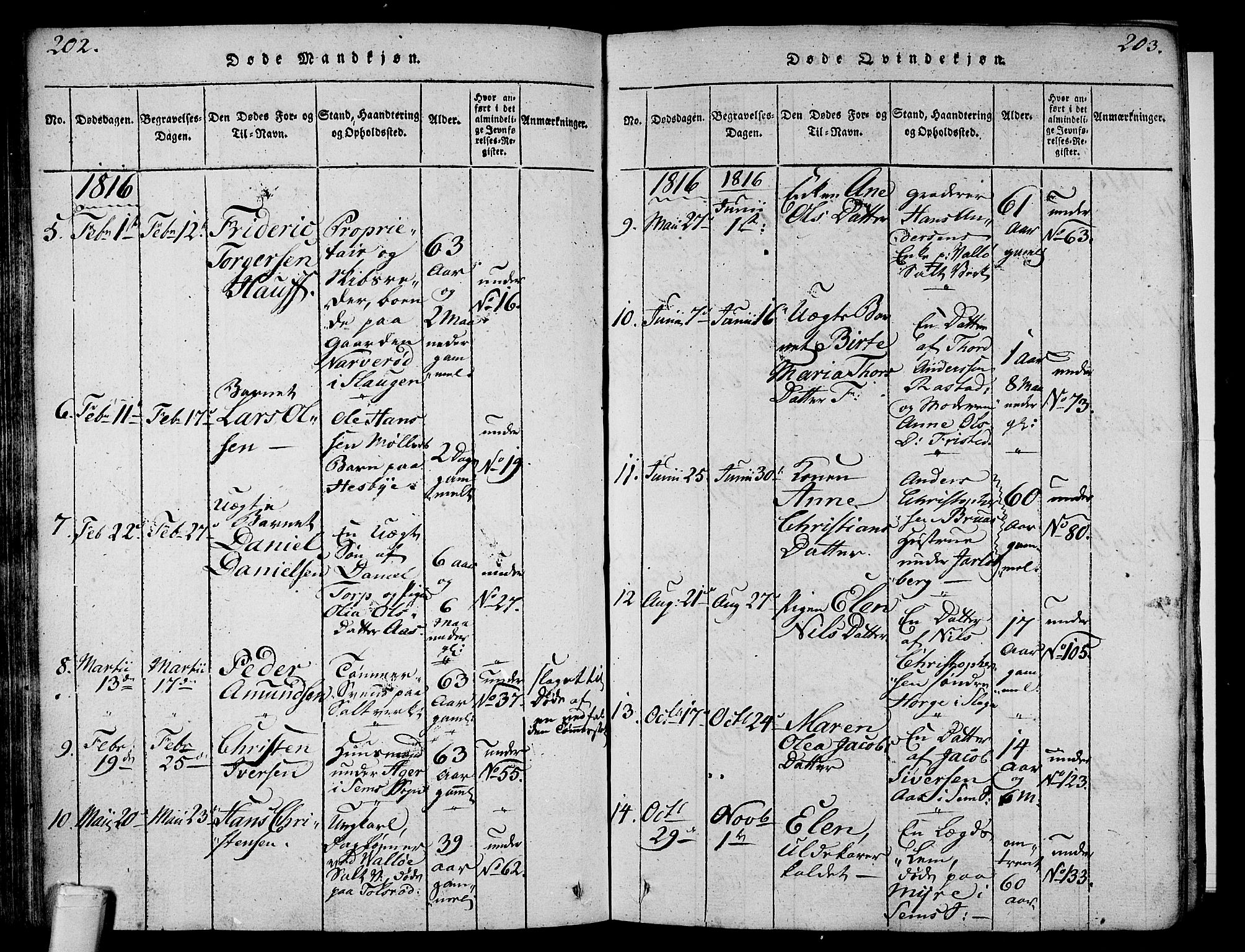 Sem kirkebøker, AV/SAKO-A-5/F/Fa/L0004: Parish register (official) no. I 4, 1814-1825, p. 202-203