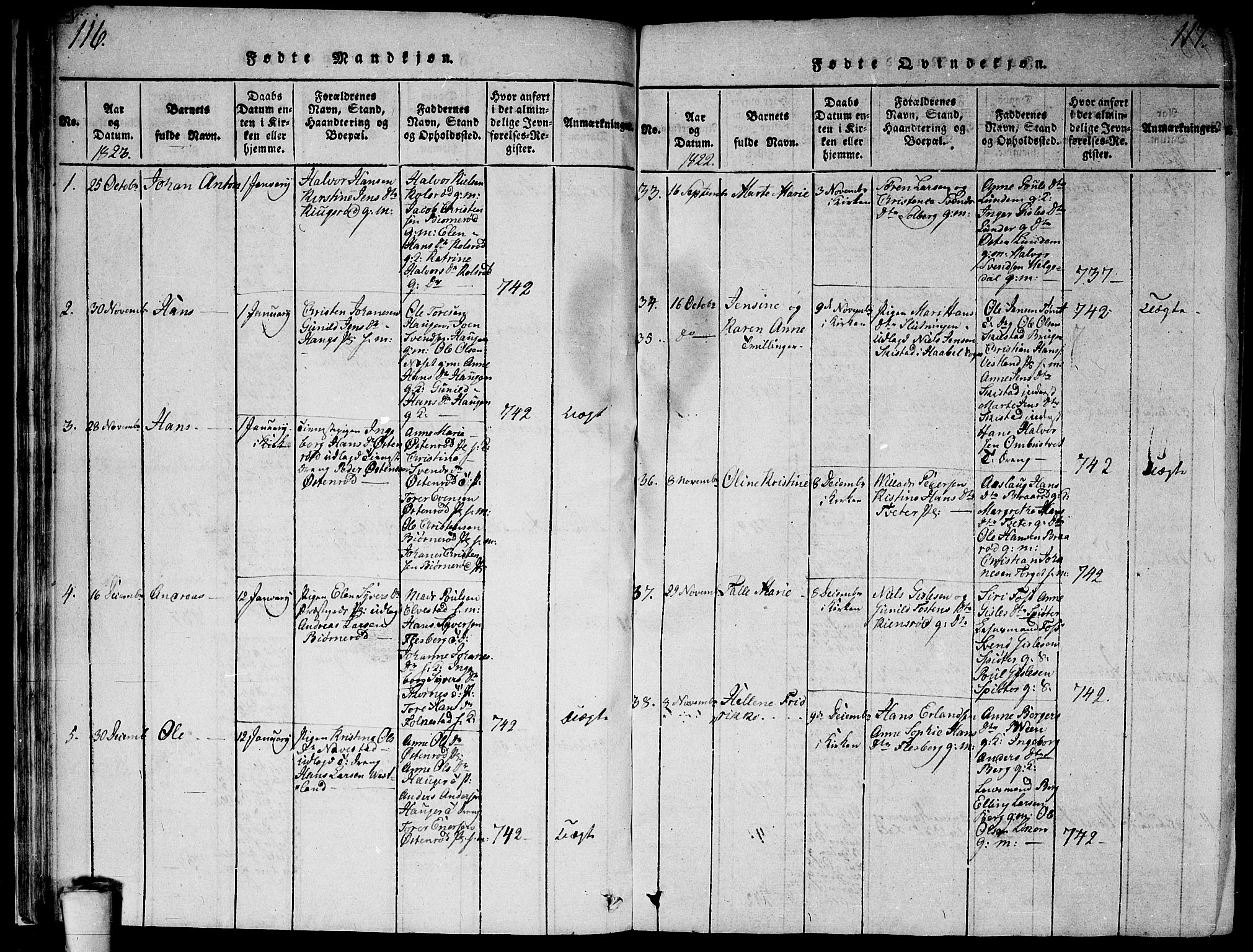 Våler prestekontor Kirkebøker, SAO/A-11083/G/Ga/L0001: Parish register (copy) no. I 1, 1815-1839, p. 116-117