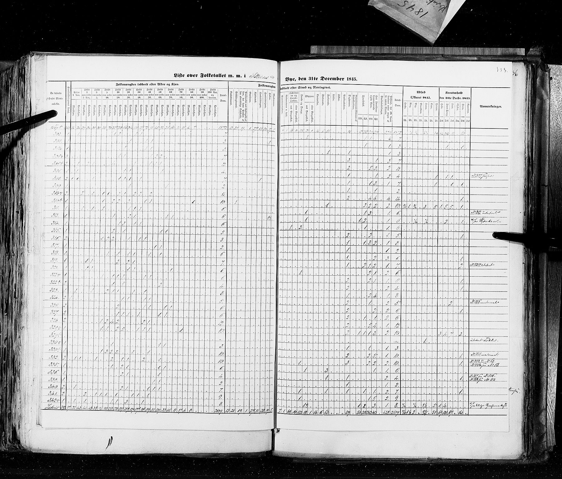 RA, Census 1845, vol. 10: Cities, 1845, p. 333