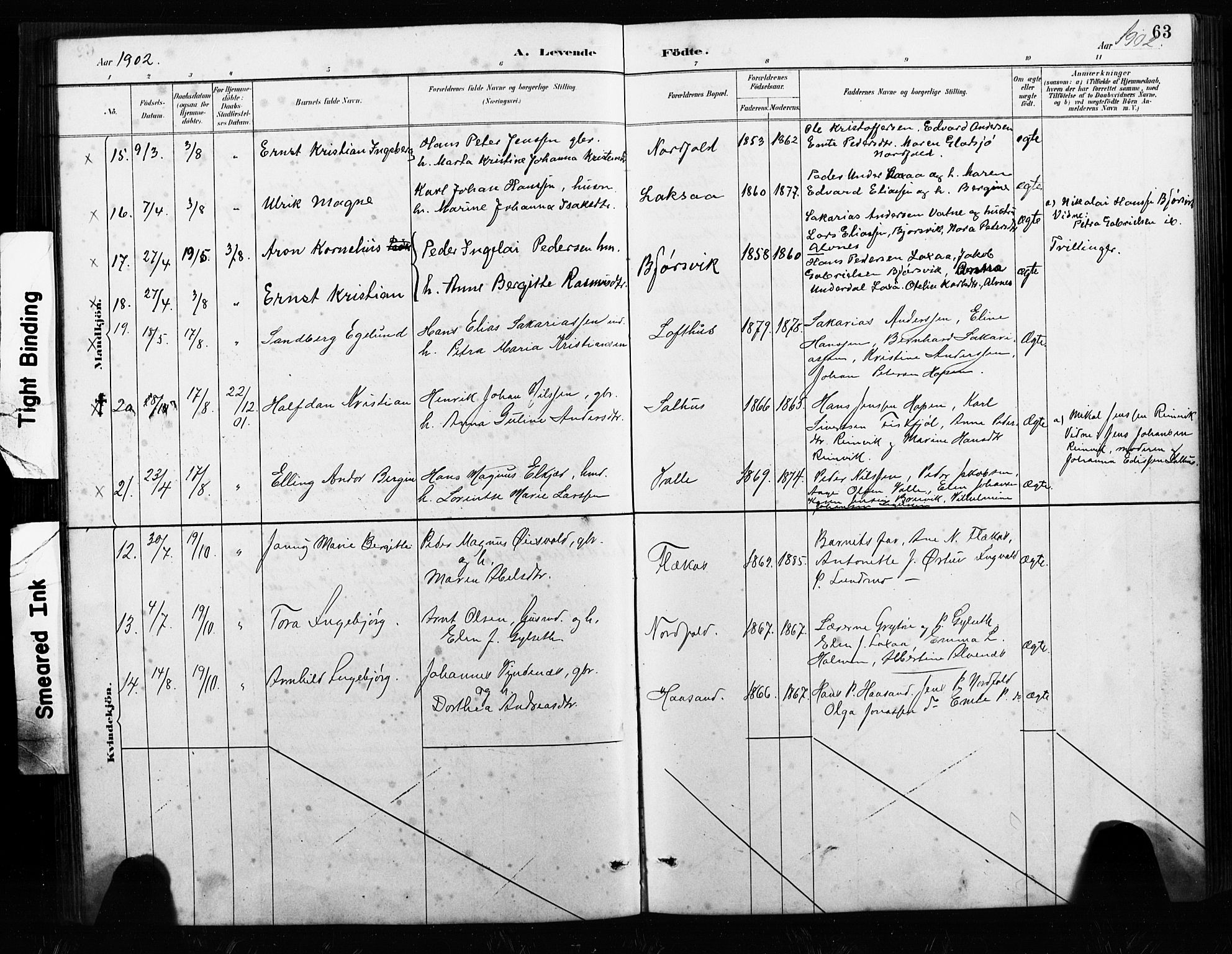 Ministerialprotokoller, klokkerbøker og fødselsregistre - Nordland, AV/SAT-A-1459/858/L0834: Parish register (copy) no. 858C01, 1884-1904, p. 63